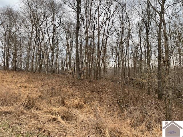 00 Pelican Way, Cadiz, KY 42211 Listing Photo  10
