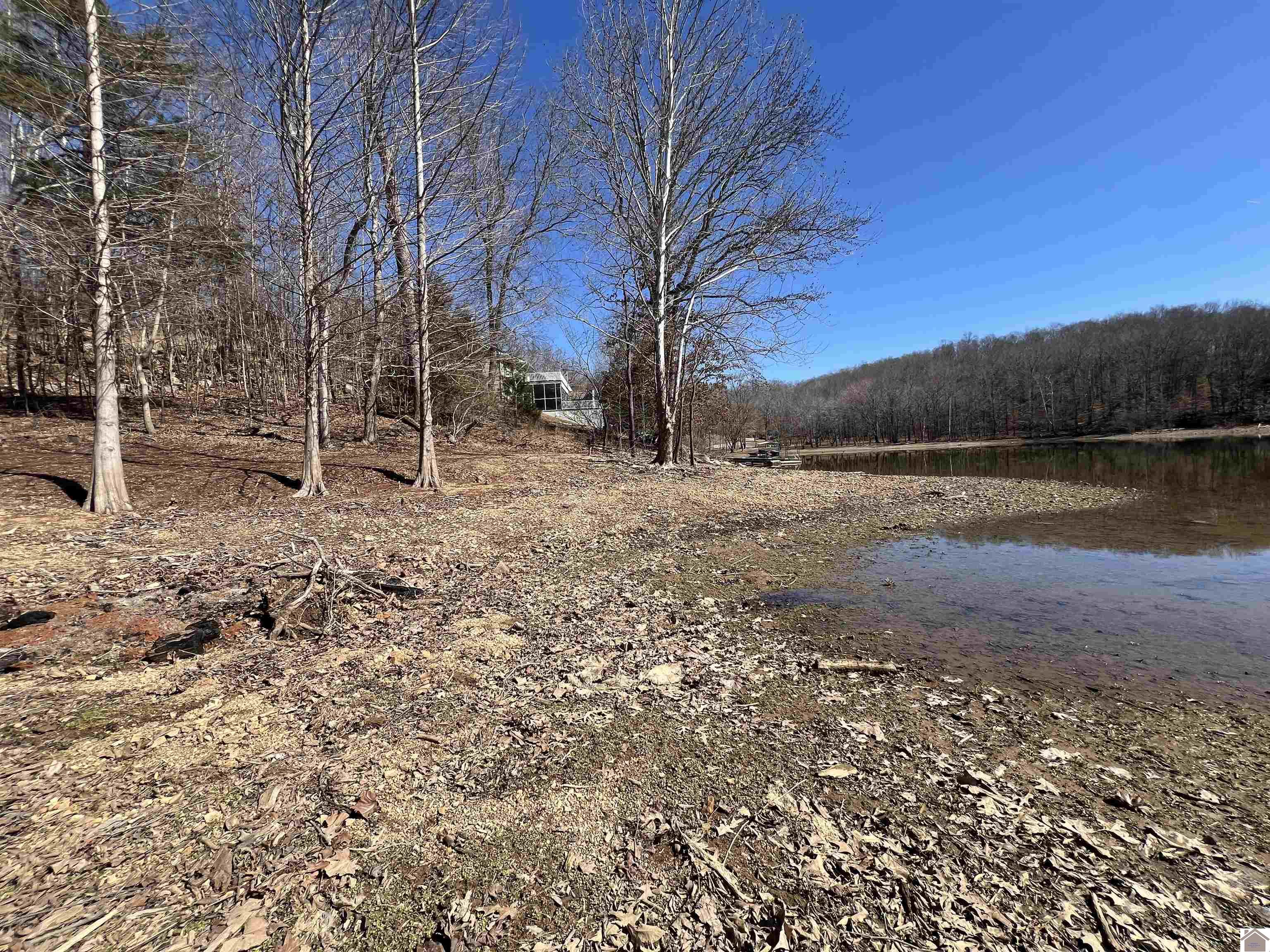 Tract 2 Oak Ridge Road, Cadiz, KY 42211 Listing Photo  2