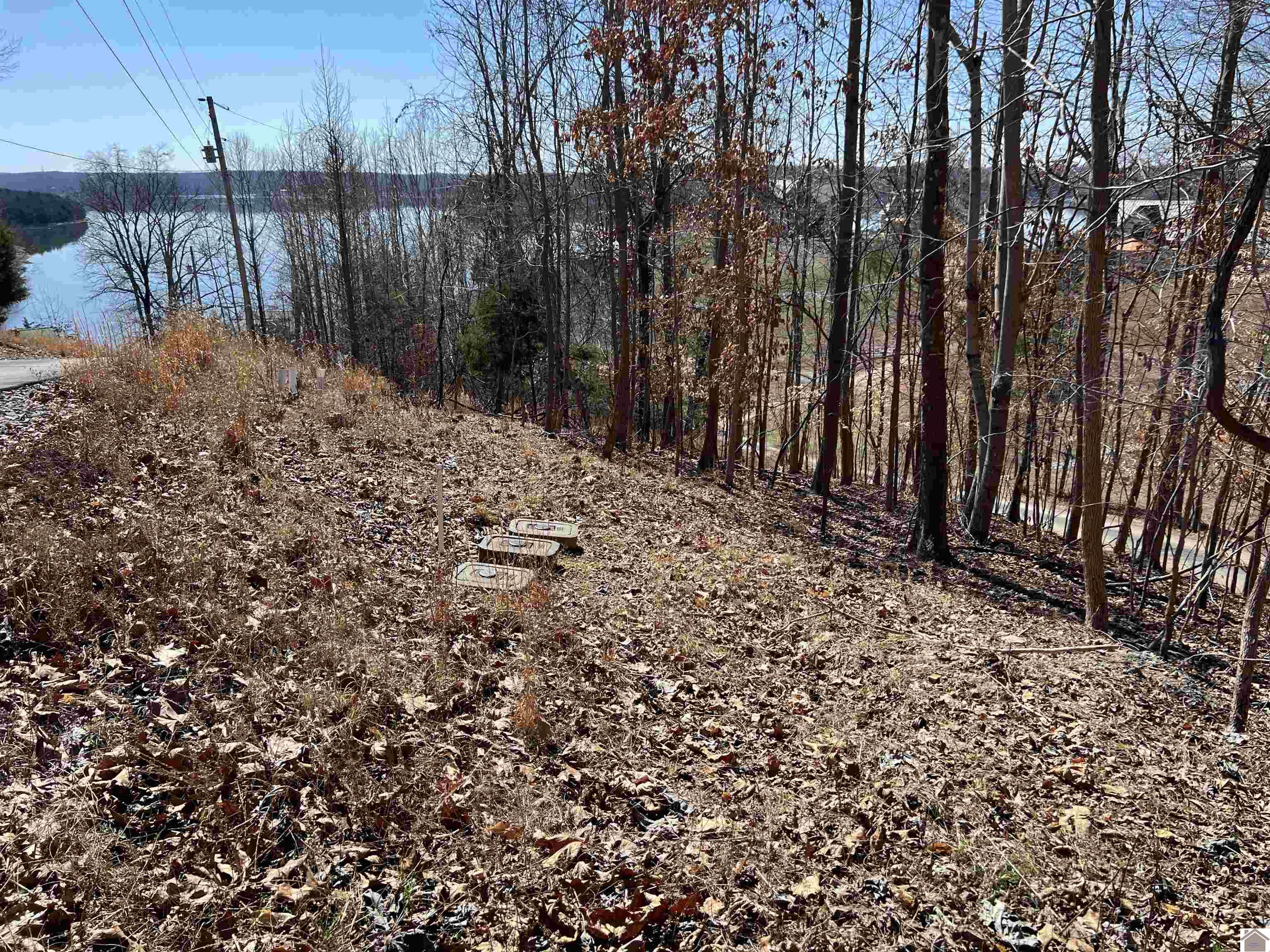 Tract 2 Oak Ridge Road, Cadiz, KY 42211 Listing Photo  14