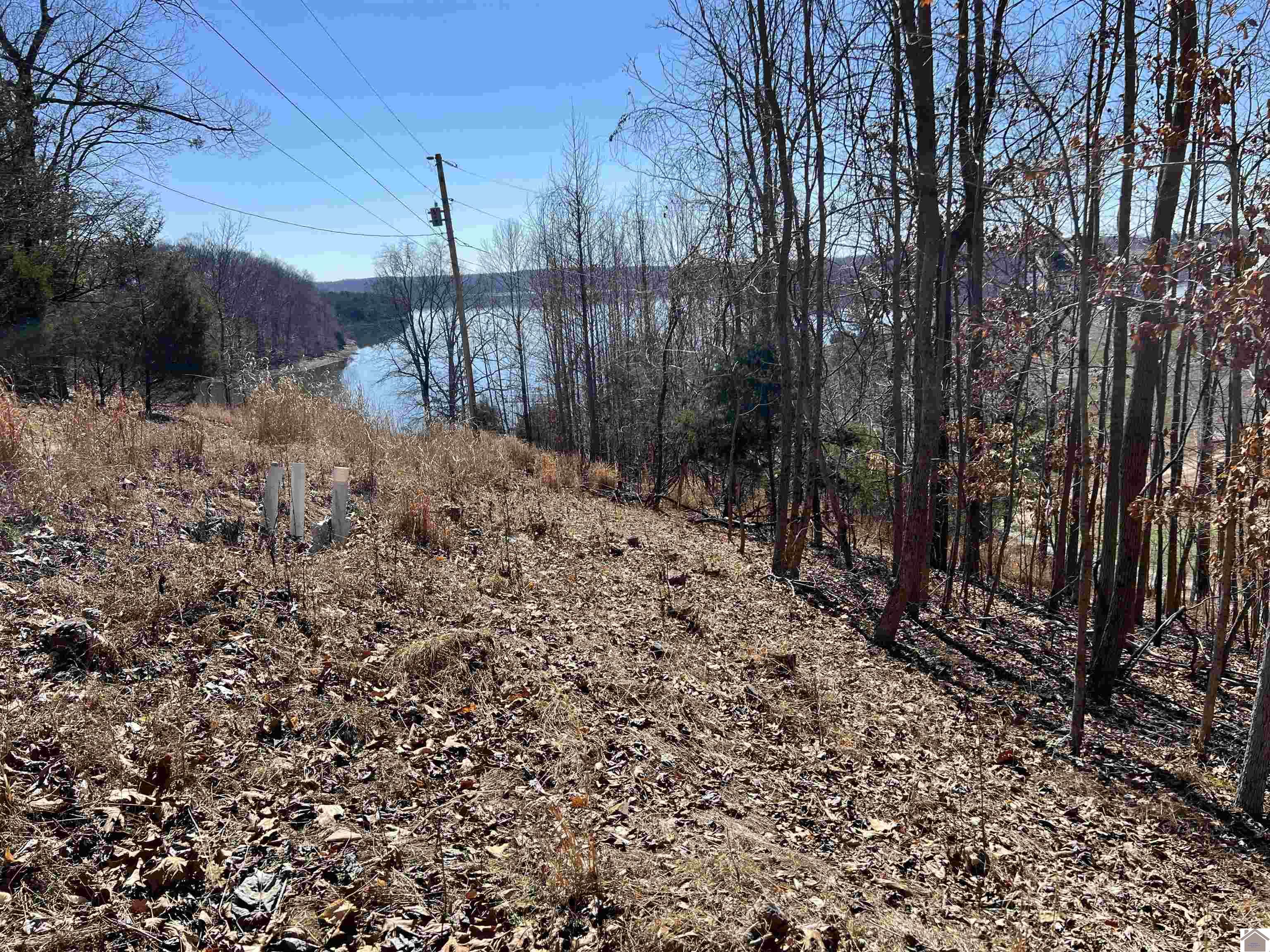 Tract 2 Oak Ridge Road, Cadiz, KY 42211 Listing Photo  15