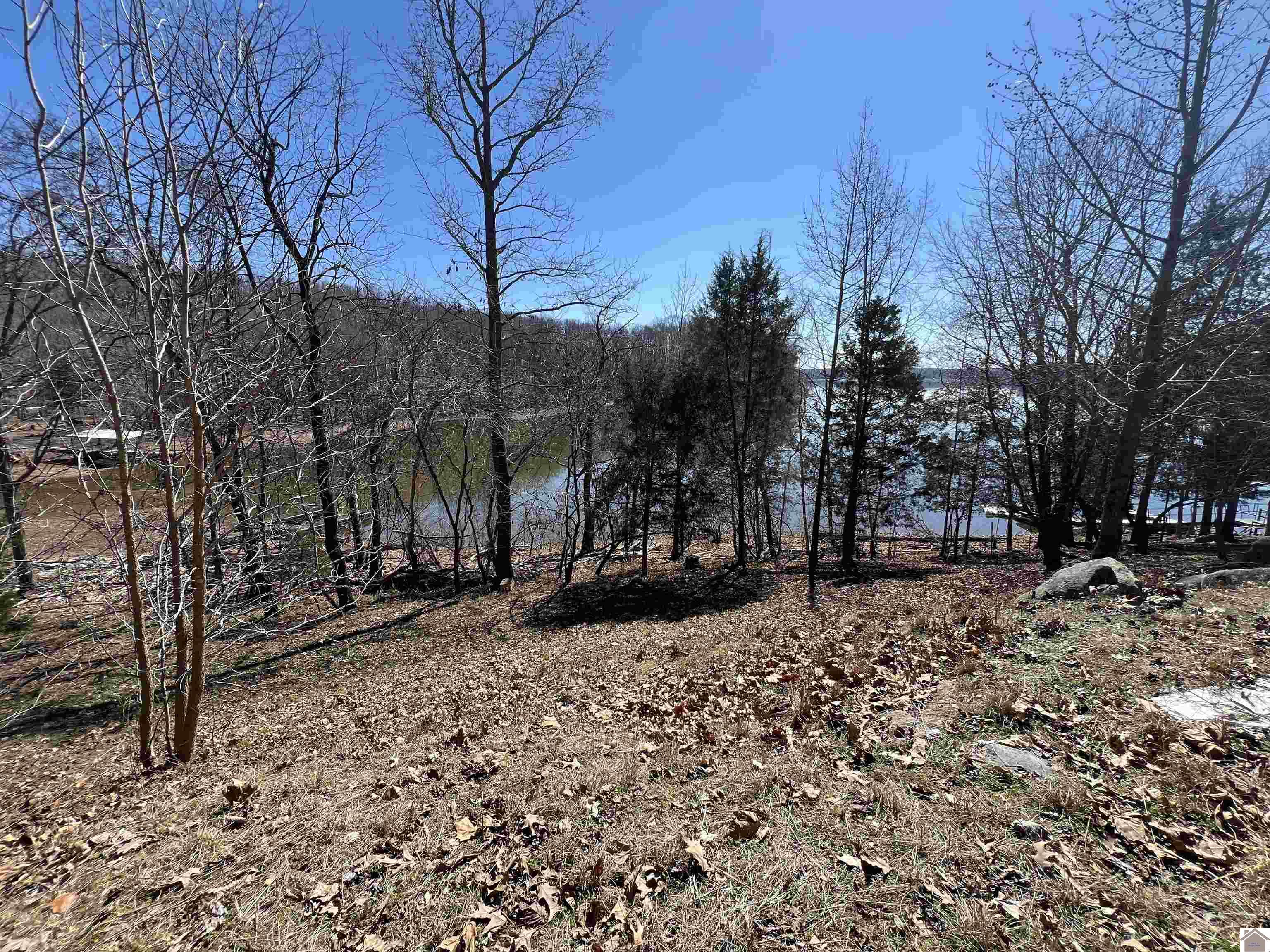 Tract 2 Oak Ridge Road, Cadiz, KY 42211 Listing Photo  17