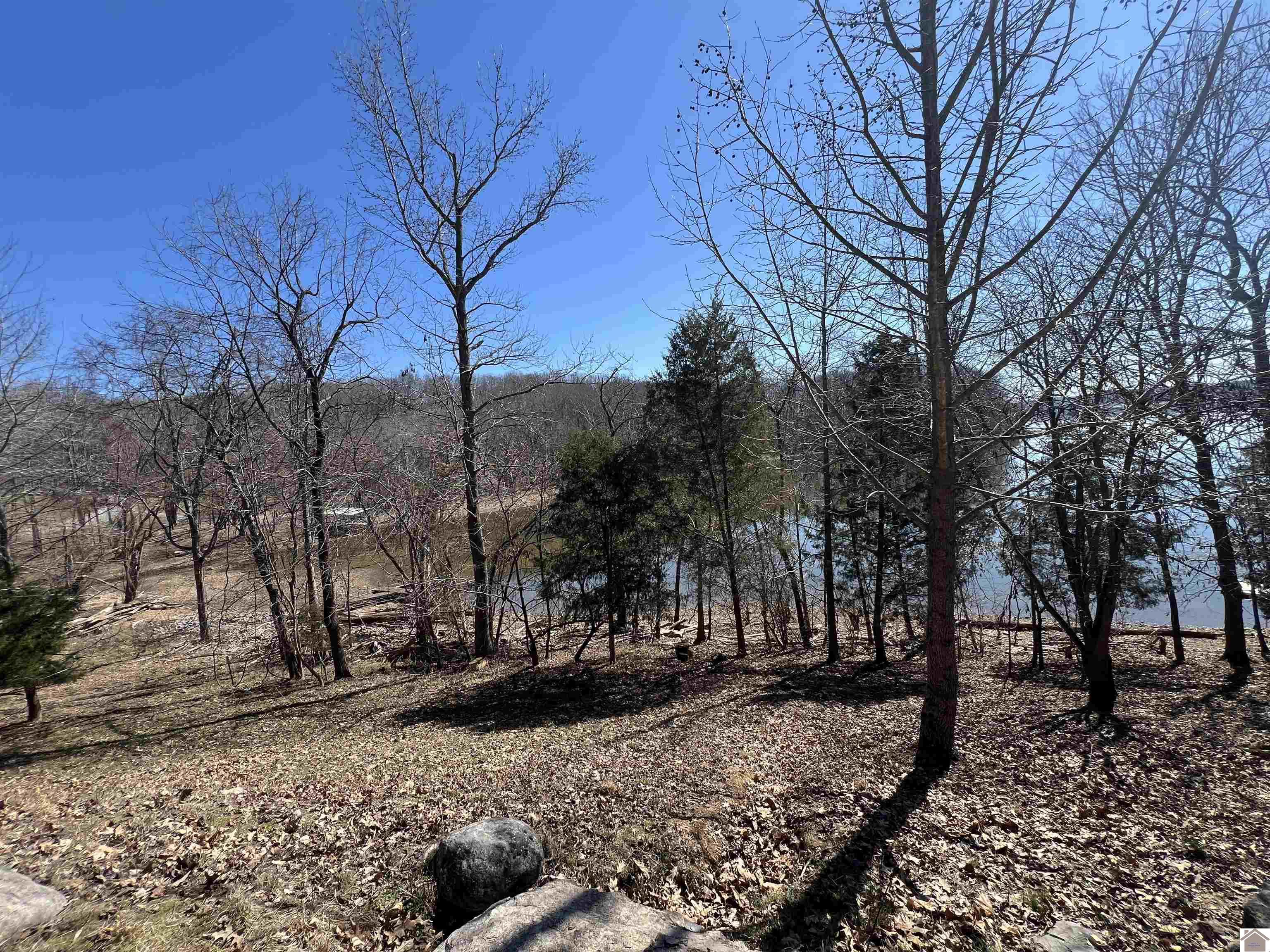 Tract 2 Oak Ridge Road, Cadiz, KY 42211 Listing Photo  18
