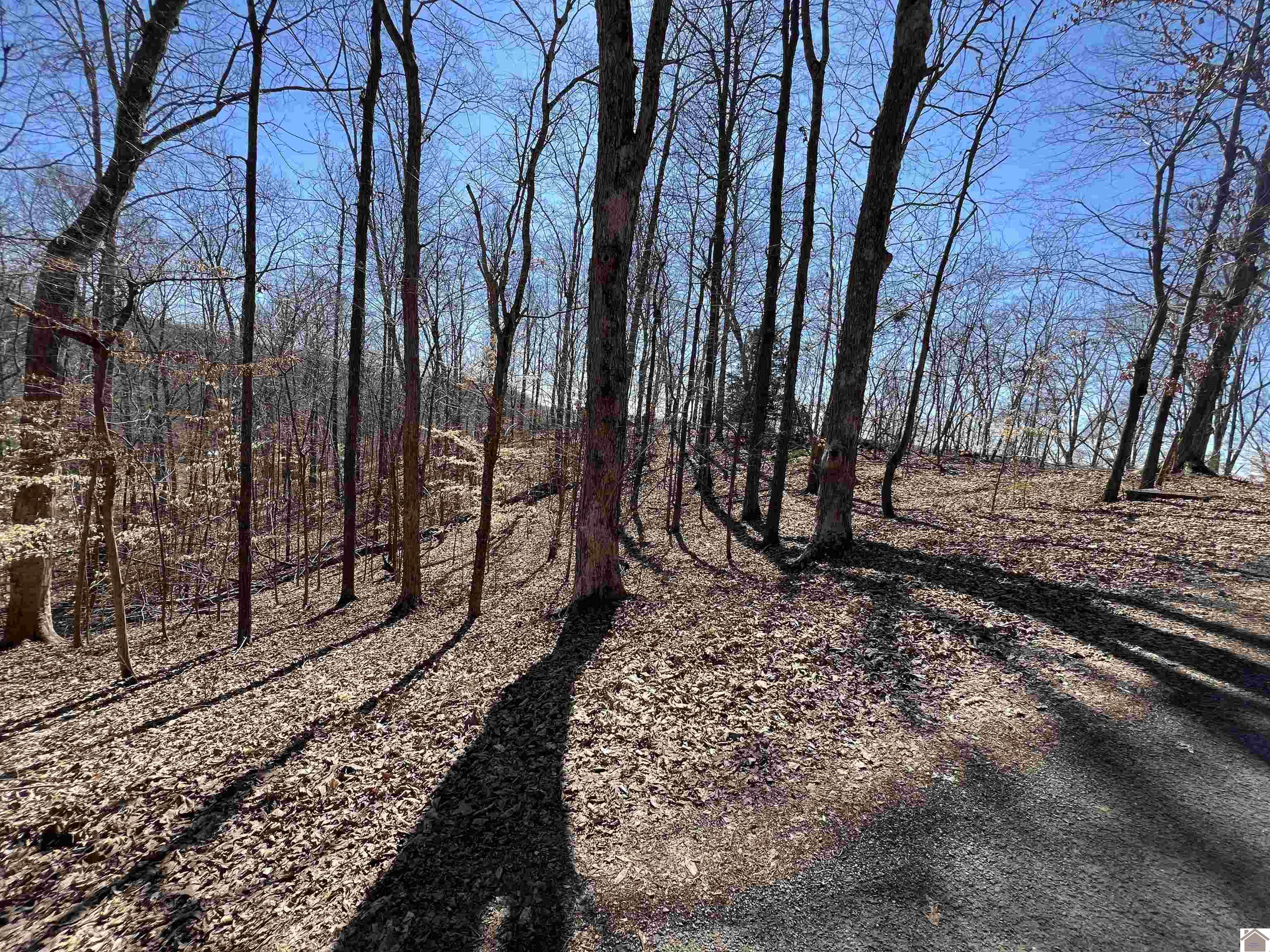 Tract 2 Oak Ridge Road, Cadiz, KY 42211 Listing Photo  19