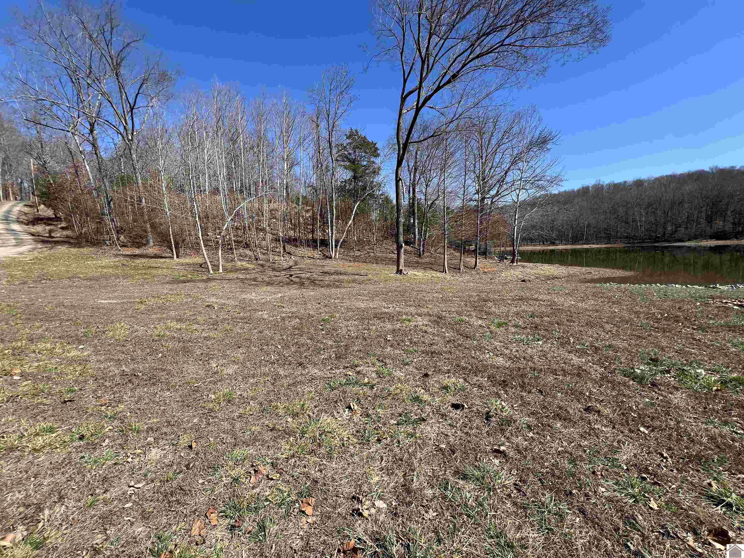 Tract 2 Oak Ridge Road, Cadiz, KY 42211 Listing Photo  20