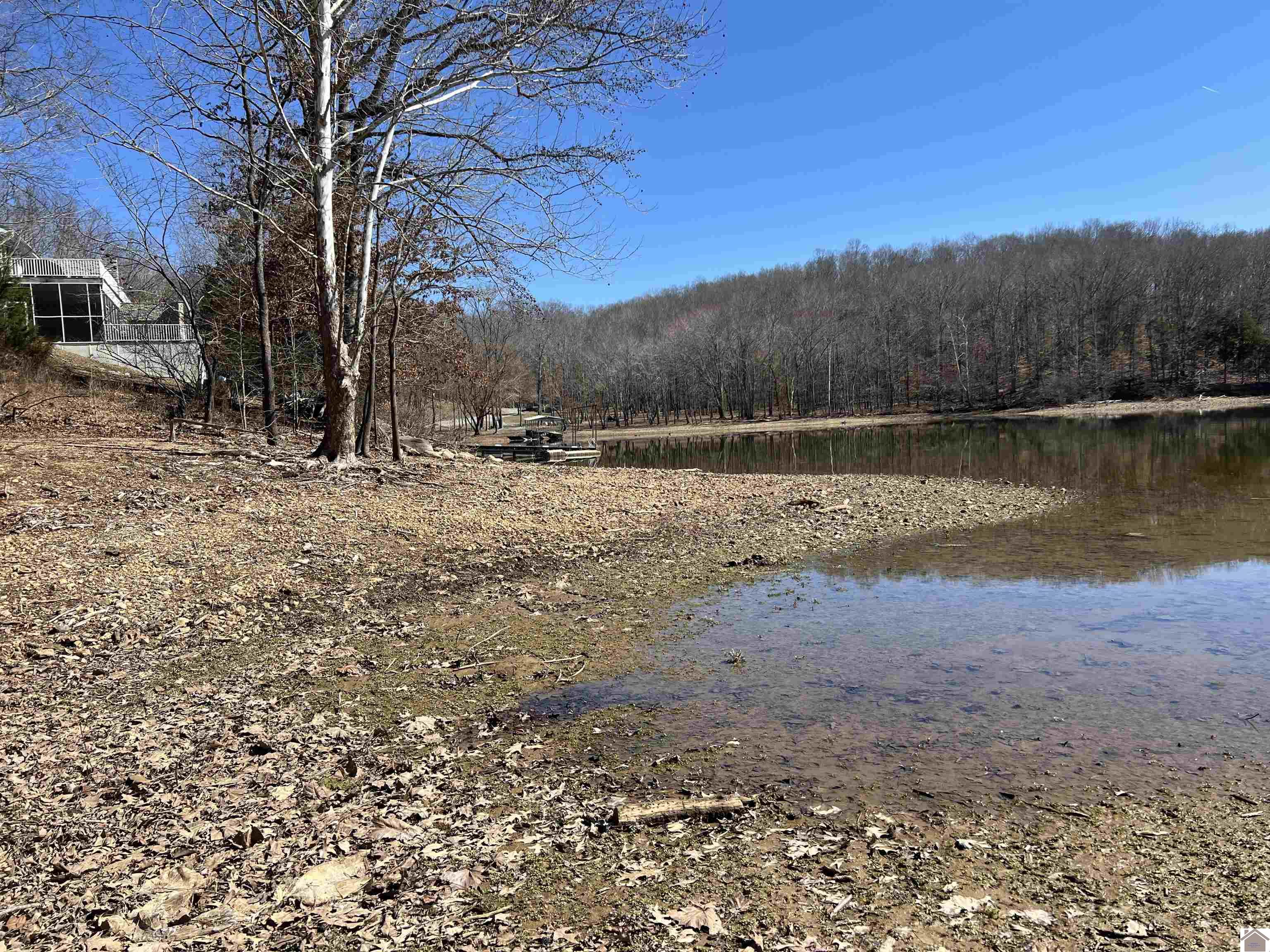 Tract 2 Oak Ridge Road, Cadiz, KY 42211 Listing Photo  3