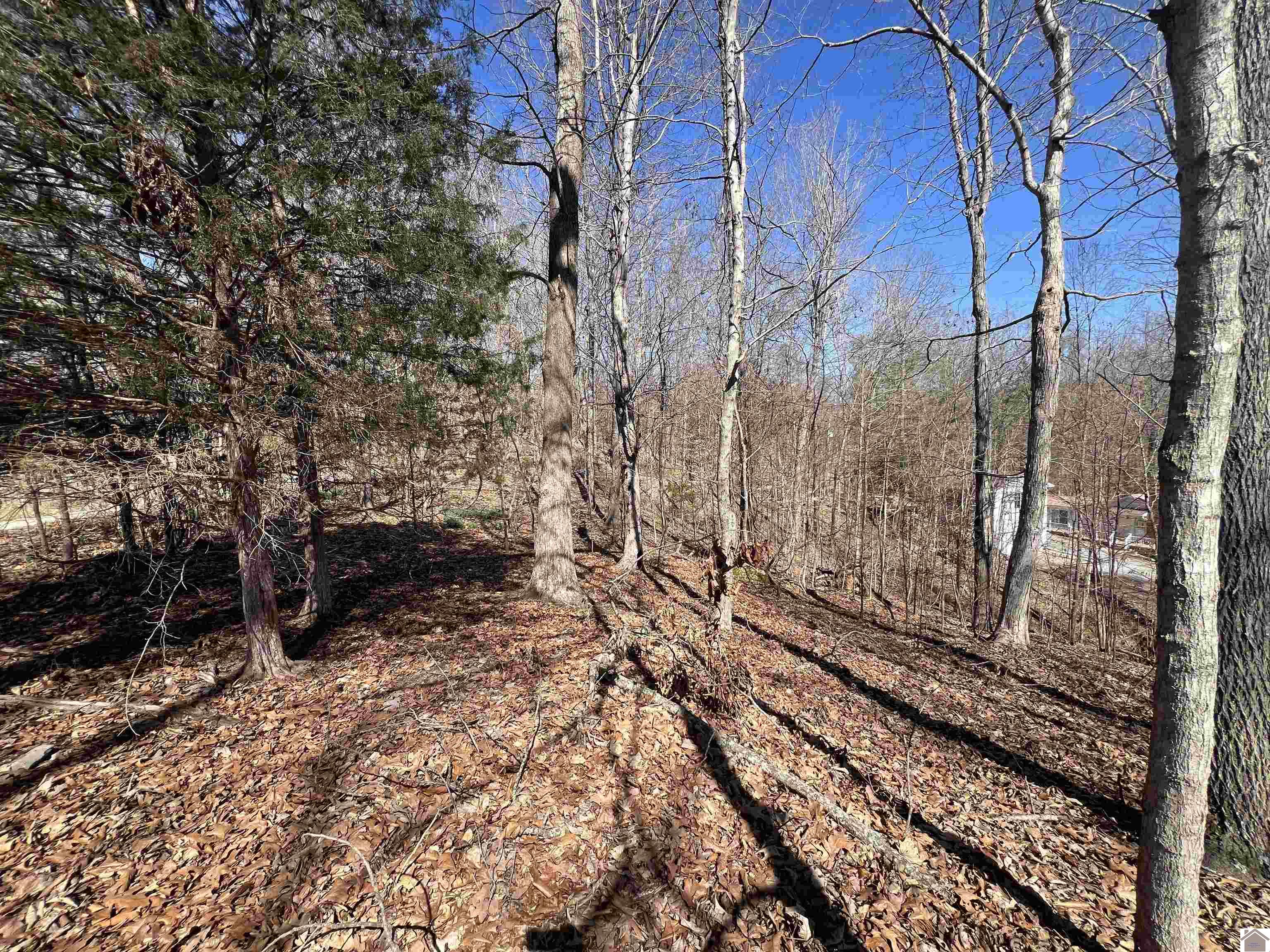 Tract 2 Oak Ridge Road, Cadiz, KY 42211 Listing Photo  21