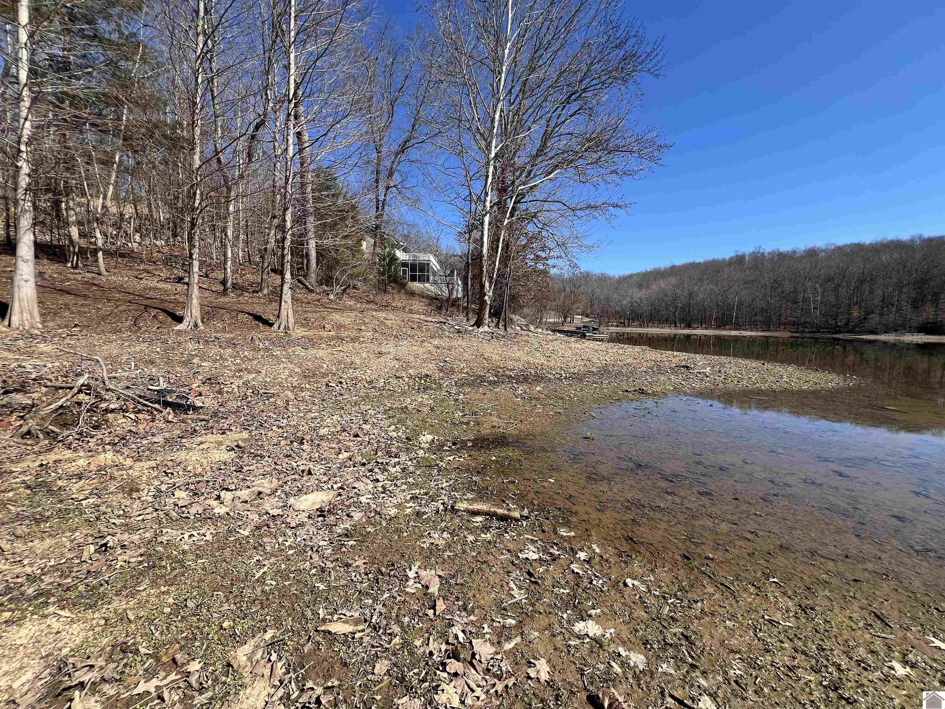 Tract 2 Oak Ridge Road, Cadiz, KY 42211 Listing Photo  5