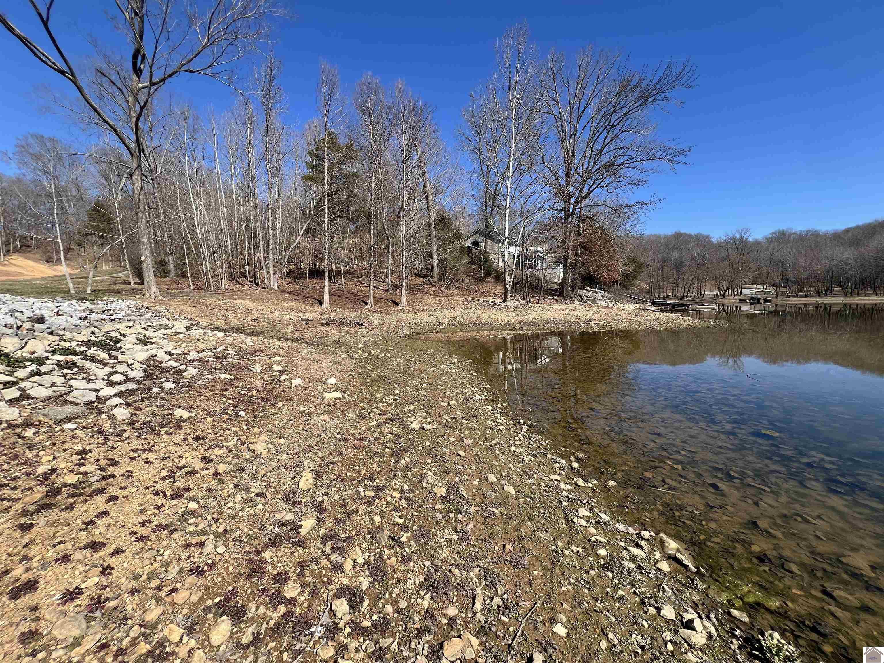 Tract 2 Oak Ridge Road, Cadiz, KY 42211 Listing Photo  6