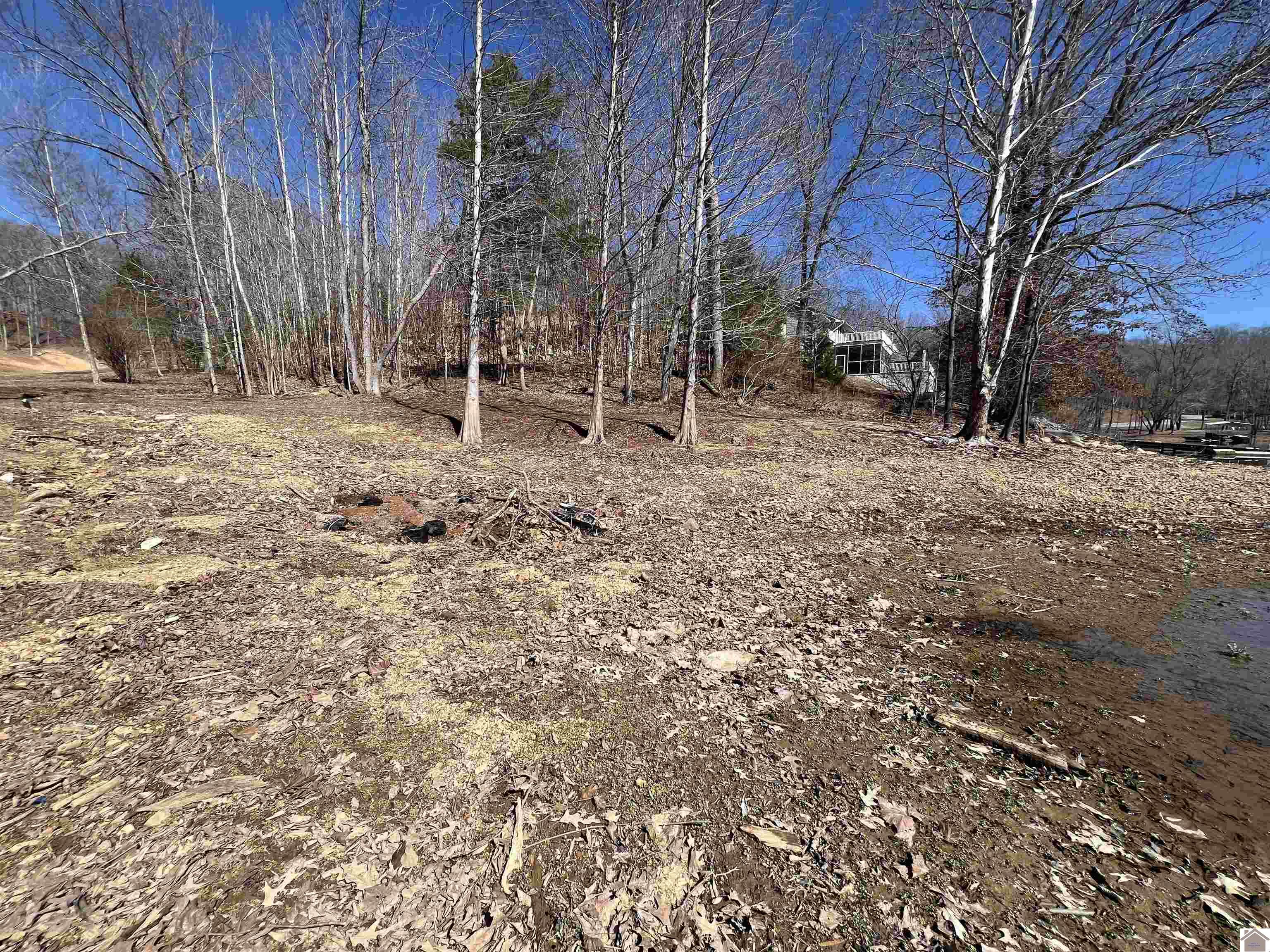 Tract 2 Oak Ridge Road, Cadiz, KY 42211 Listing Photo  7