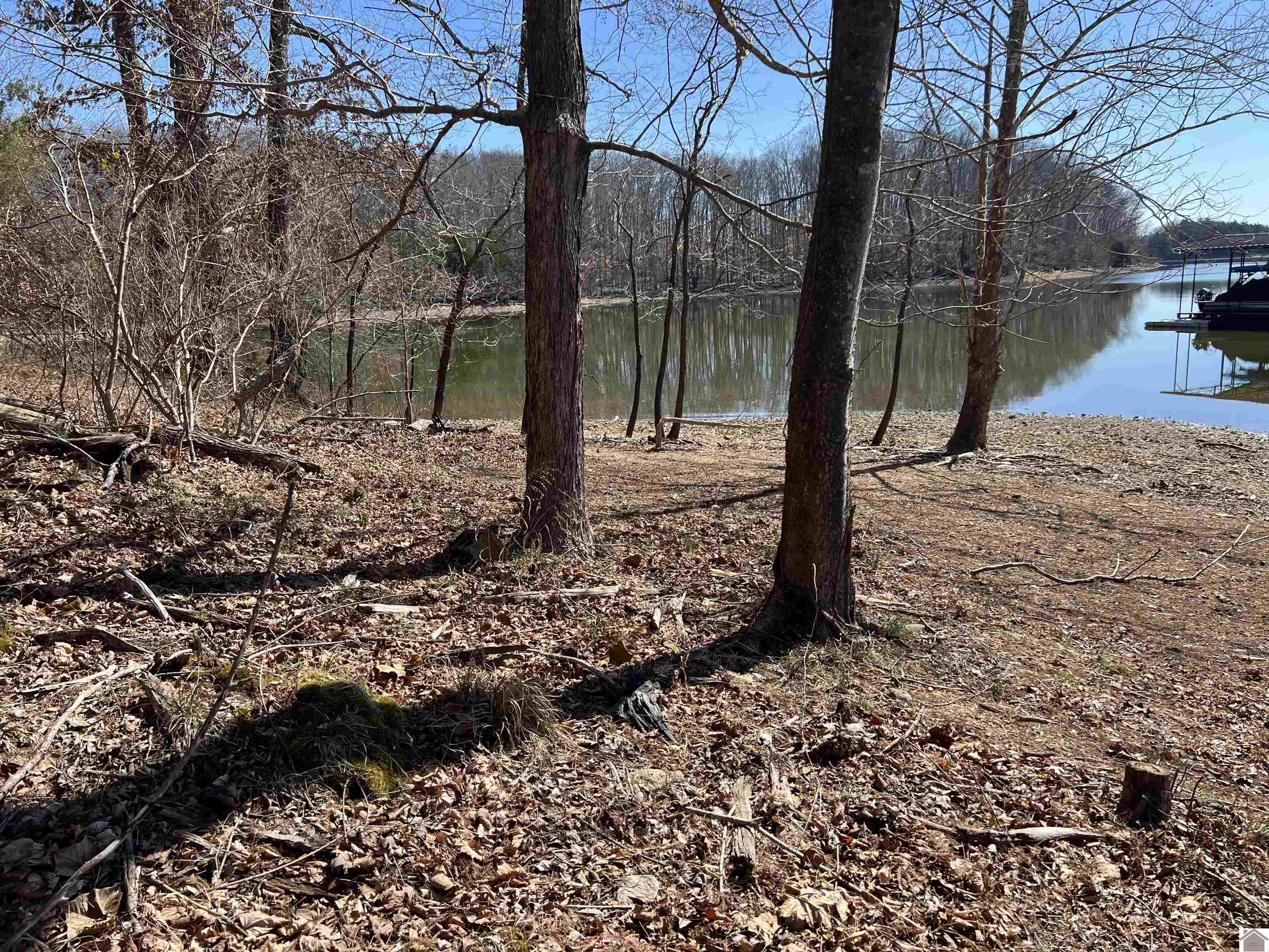 Tract 2 Oak Ridge Road, Cadiz, KY 42211 Listing Photo  9