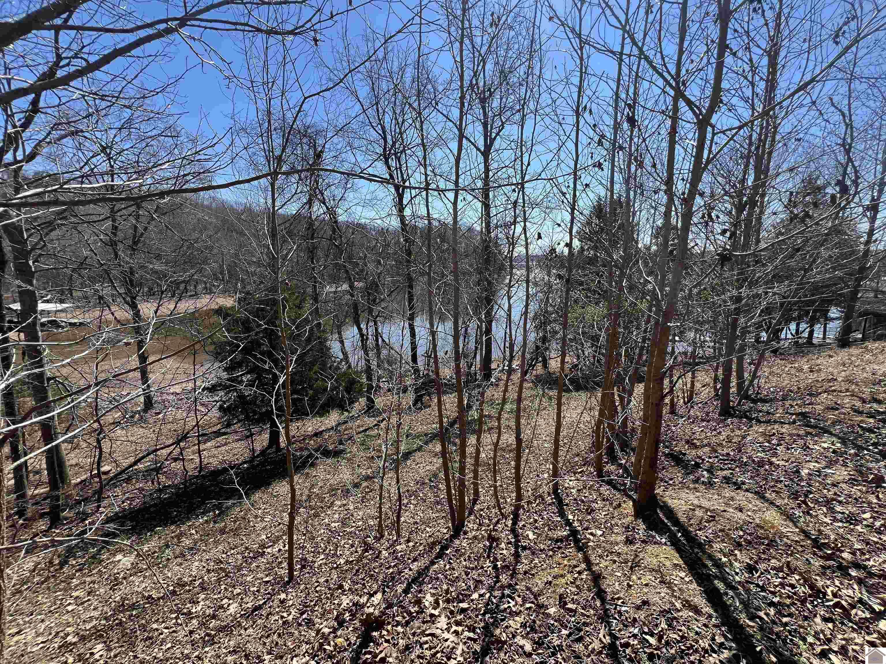 Tract 4 Oak Ridge Road, Cadiz, KY 42211 Listing Photo  1