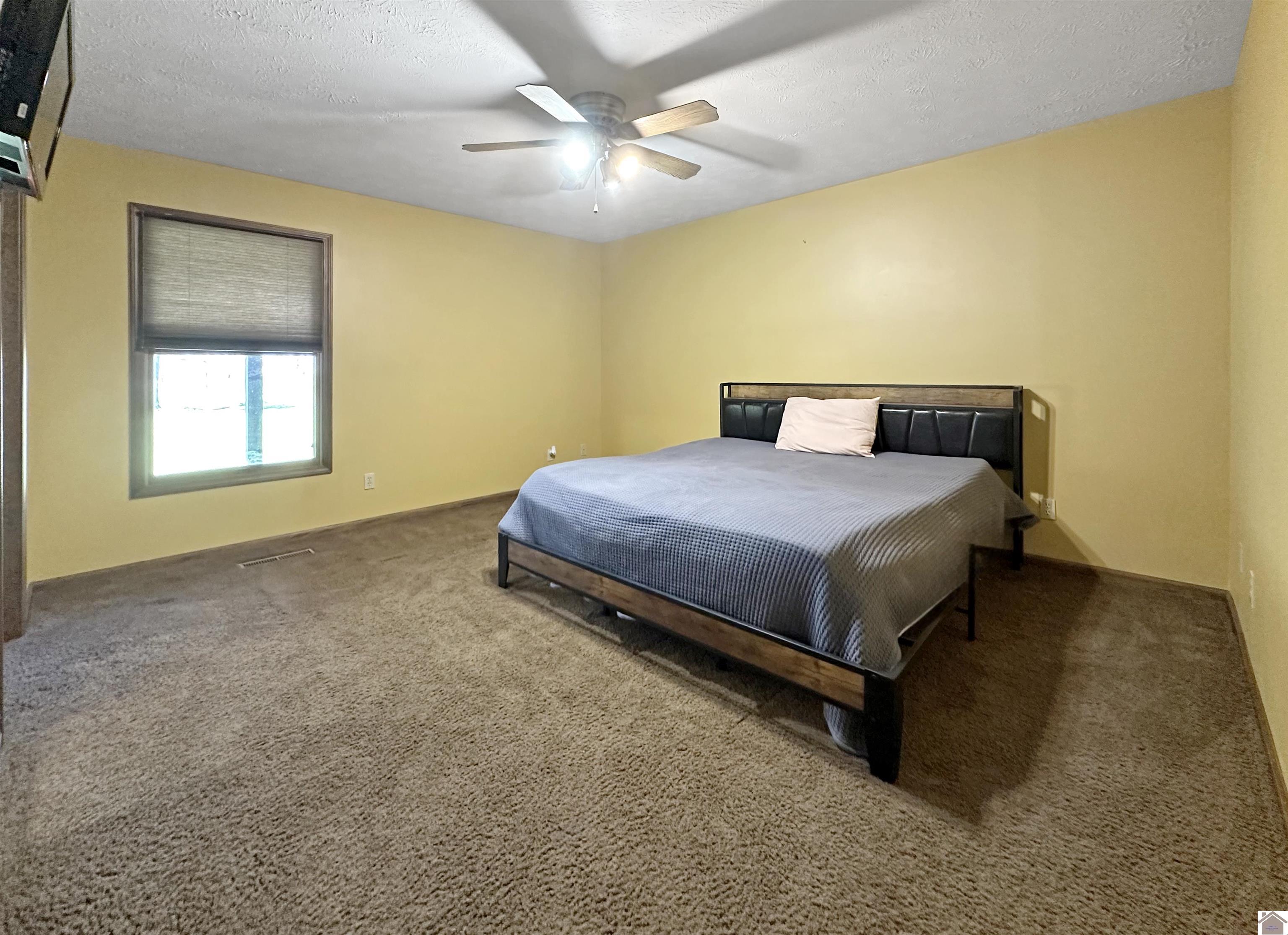 2156 Poor Farm Rd, Murray, KY 42071 Listing Photo  17
