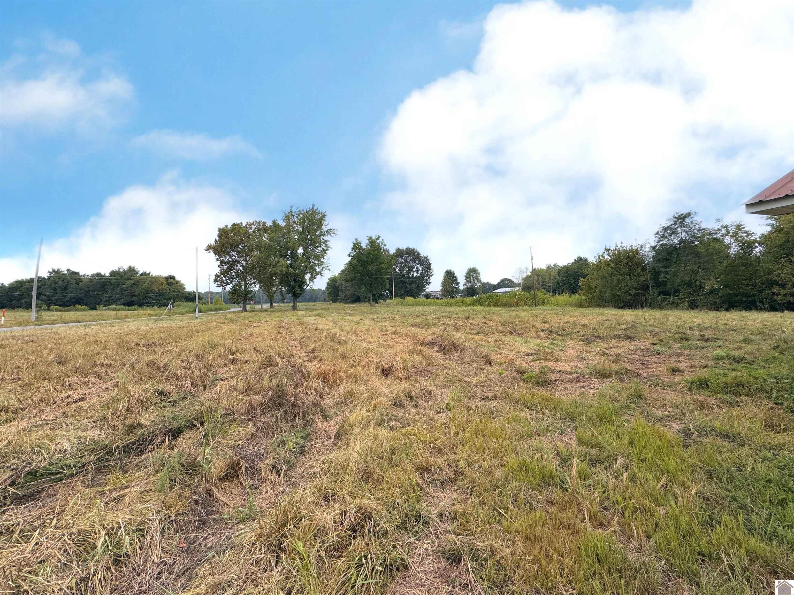 505 5th St, Hazel, KY 42049 Listing Photo  9