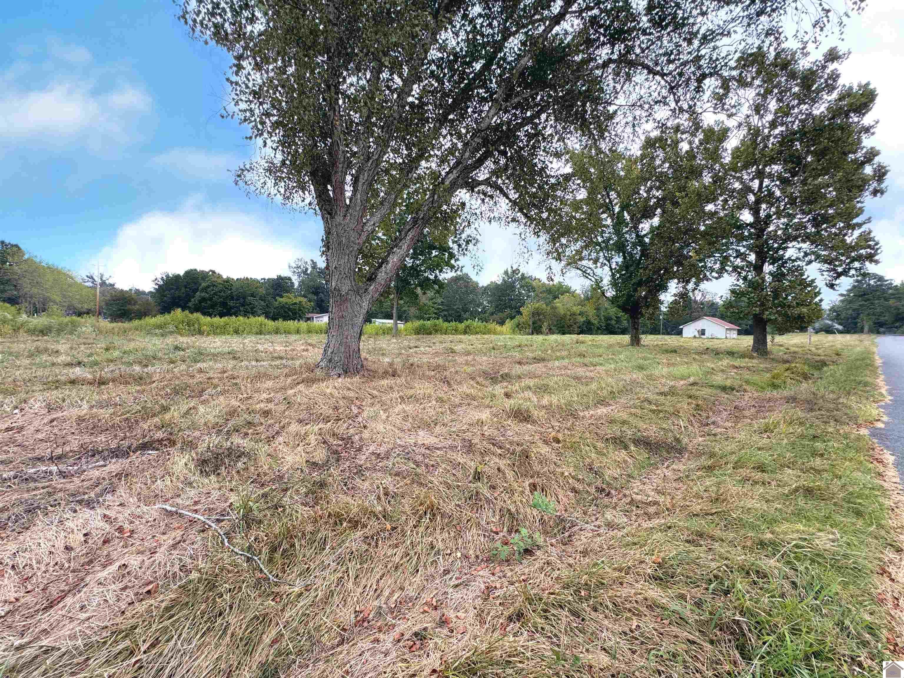 505 5th St, Hazel, KY 42049 Listing Photo  2