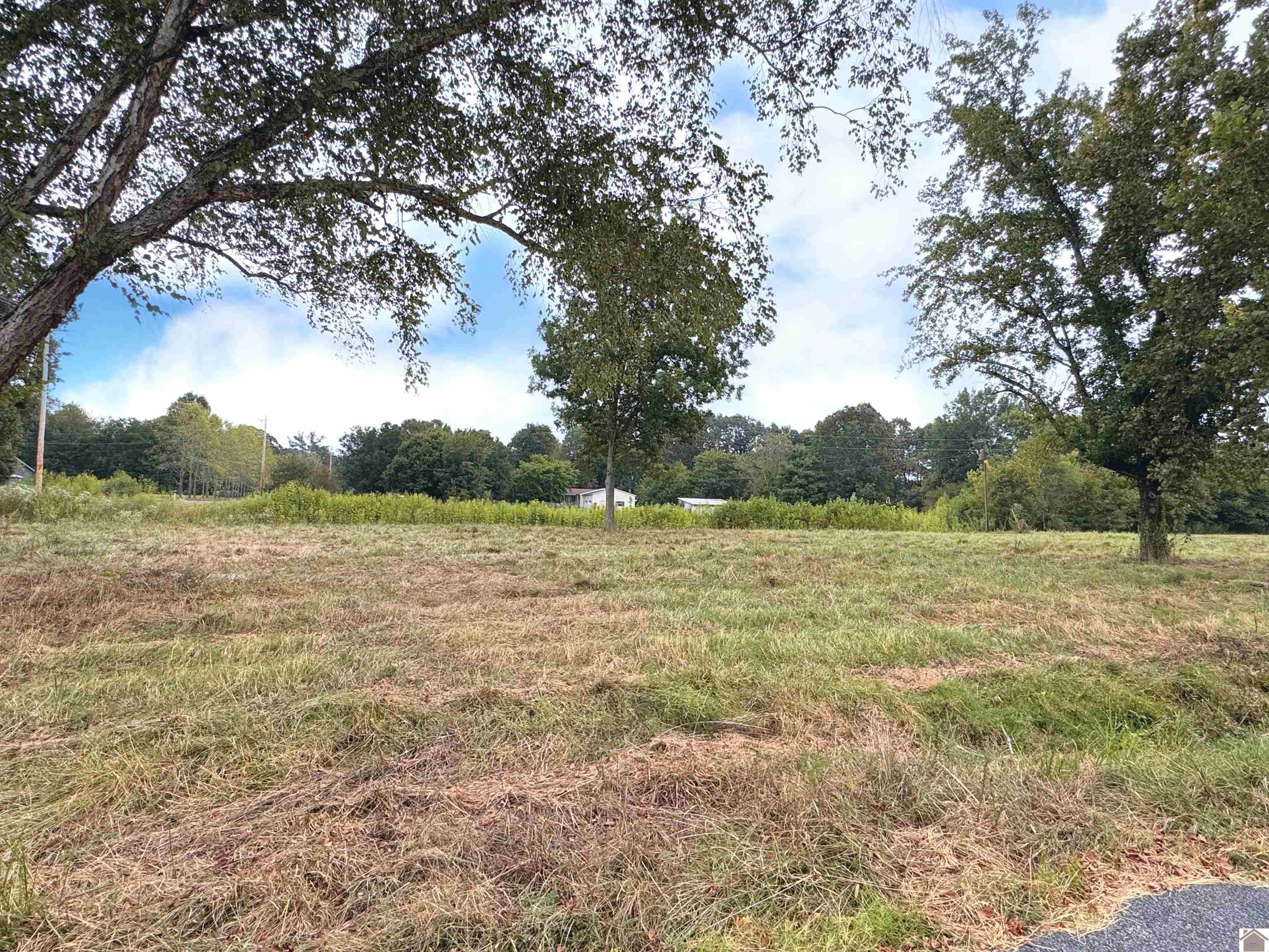 505 5th St, Hazel, KY 42049 Listing Photo  3