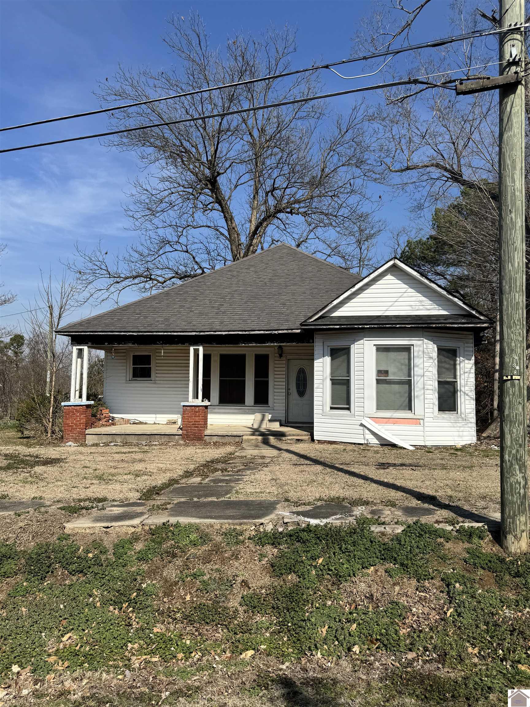 132 Hobbs Street, Arlington, KY 42021 Listing Photo  1