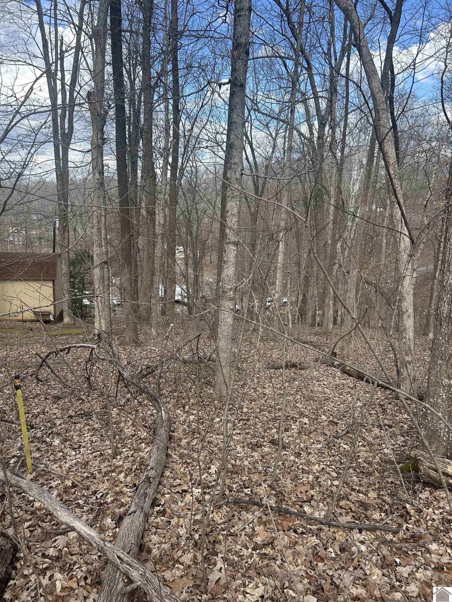 Rockcastle Shores 26 I, Cadiz, KY 42211 Listing Photo  4