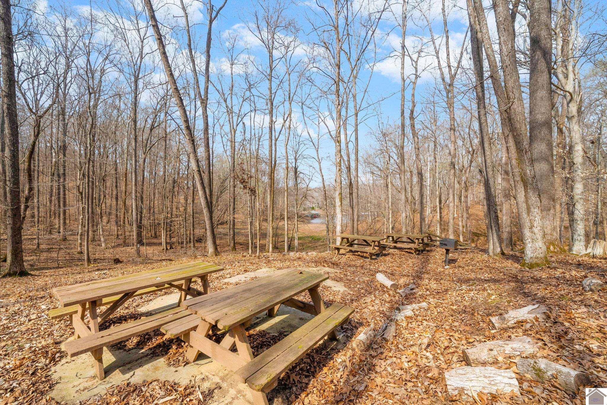 117 Journeys End Lane, Cadiz, KY 42211 Listing Photo  43