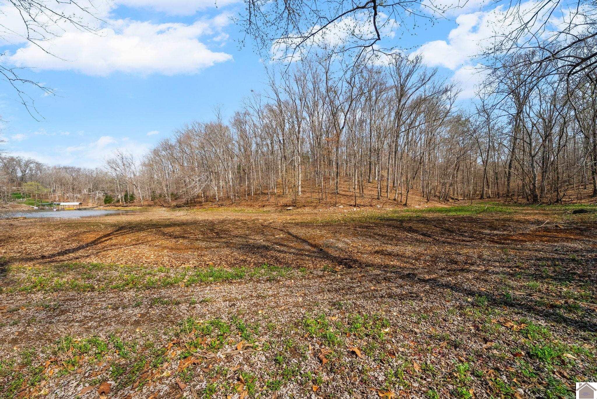 117 Journeys End Lane, Cadiz, KY 42211 Listing Photo  44