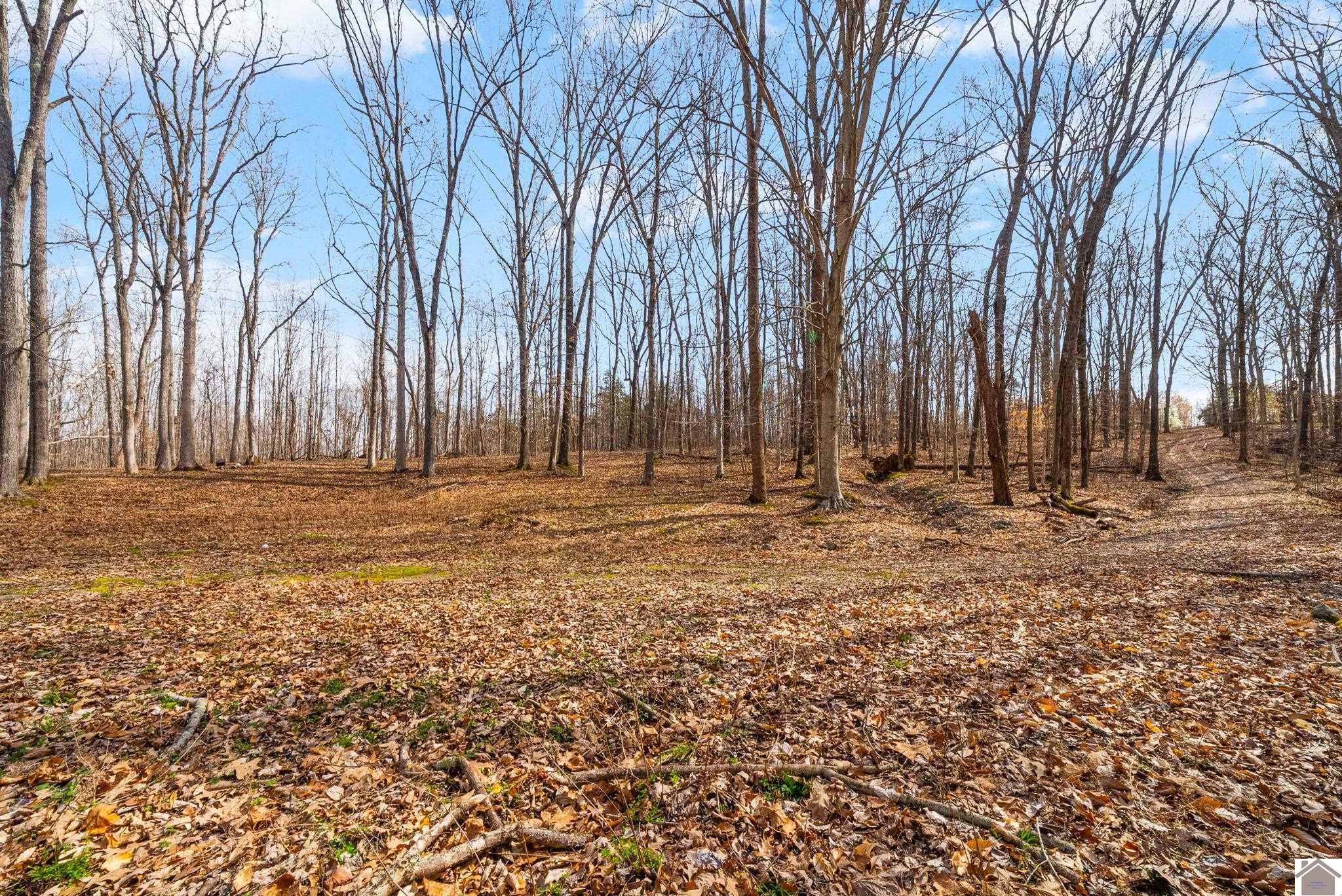 117 Journeys End Lane, Cadiz, KY 42211 Listing Photo  46