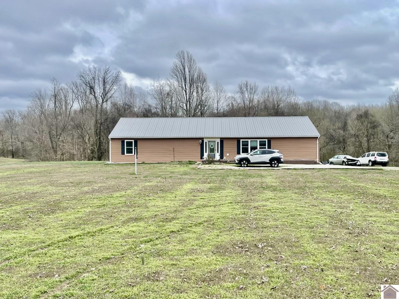6182 State Route 123, Arlington, KY 42021 Listing Photo  1