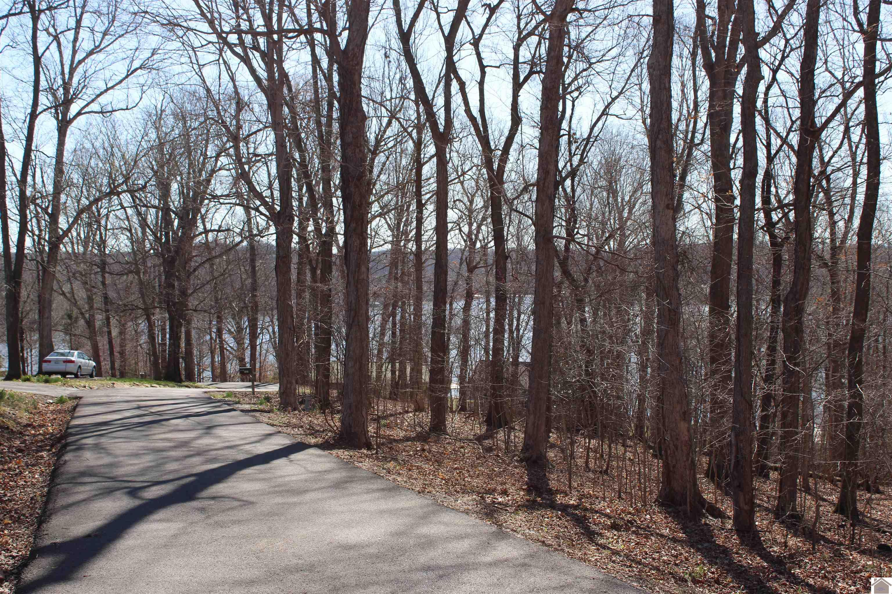 Lot 42/43 Lisanby Road, Eddyville, KY 42038 Listing Photo  1