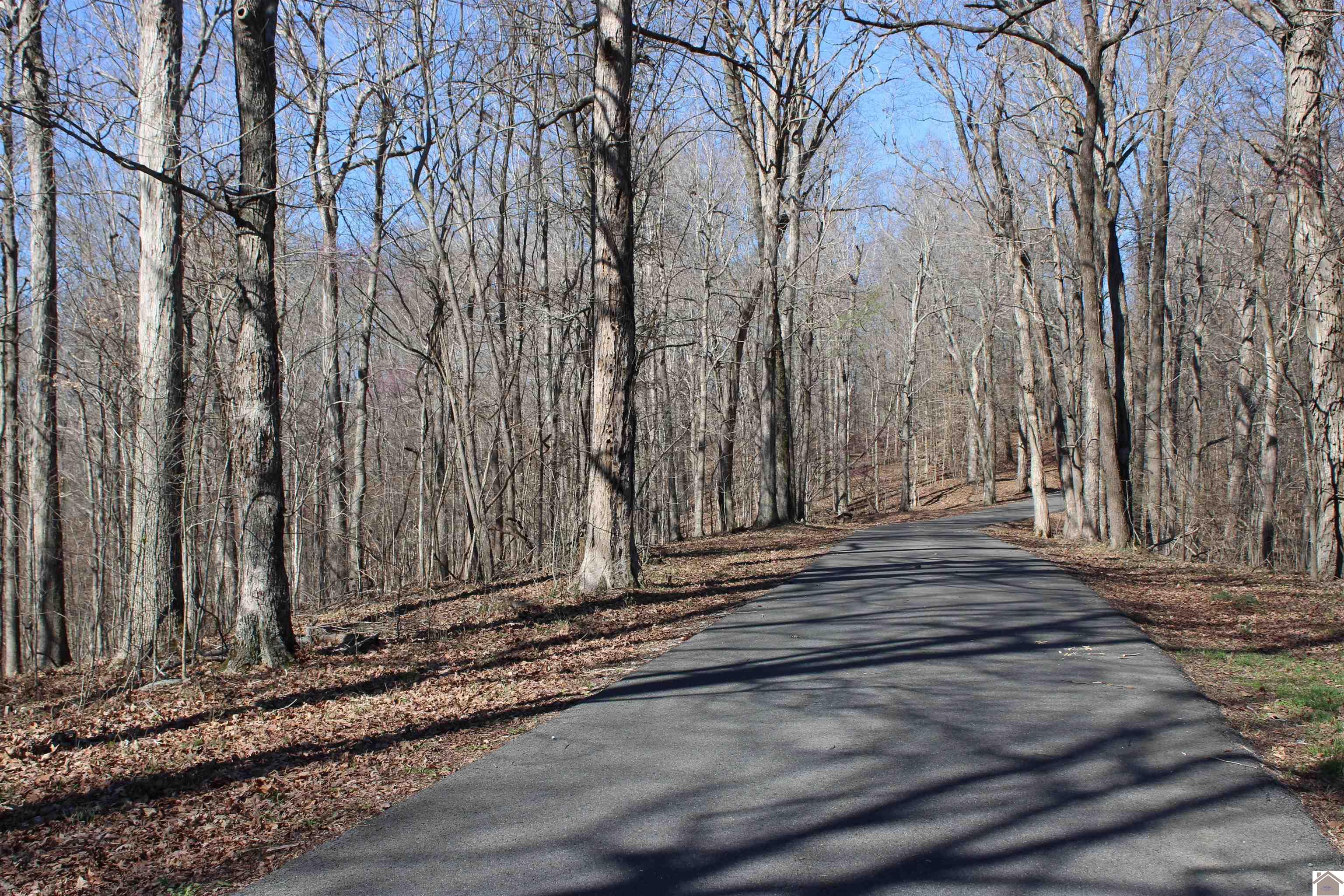 Lot 44/45 Lisanby Road, Eddyville, KY 42038 Listing Photo  1