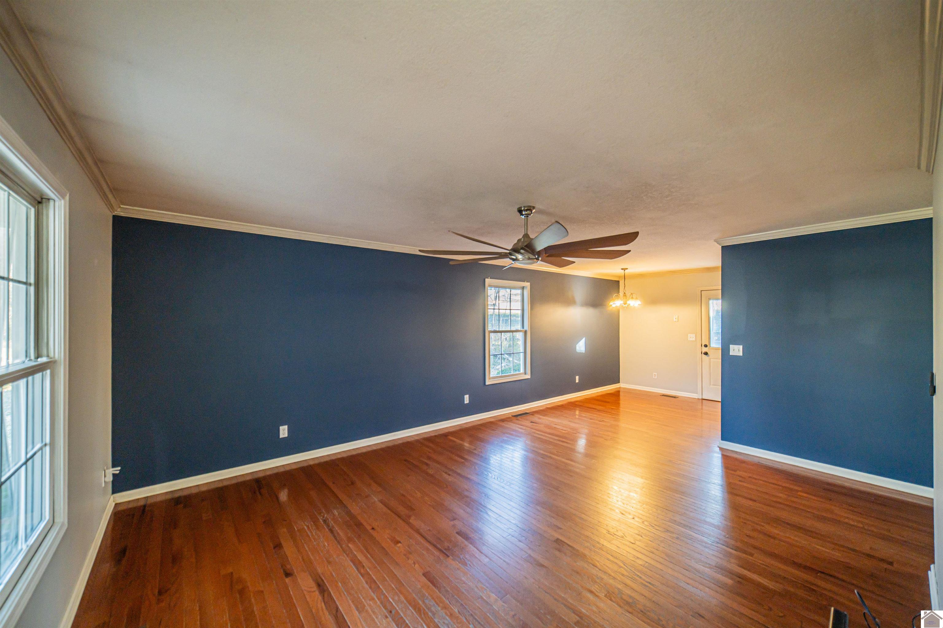 234 Japonica Drive, Paducah, KY 42003 Listing Photo  11