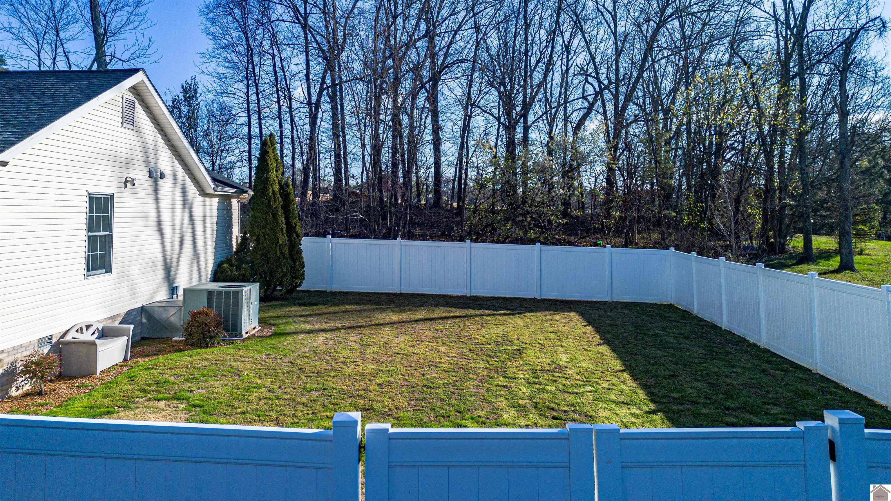 234 Japonica Drive, Paducah, KY 42003 Listing Photo  3
