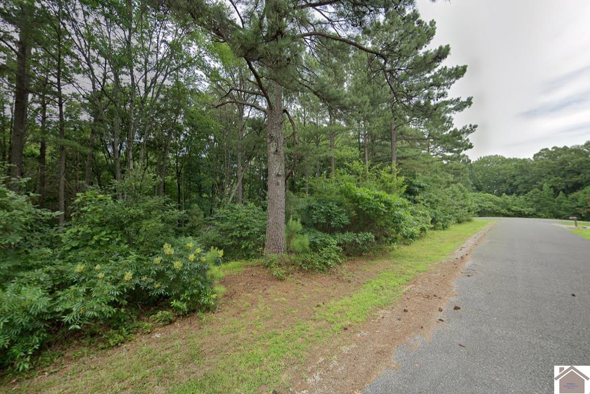 Lot 91 Streetland Ln, Murray, KY 42071 Listing Photo  3