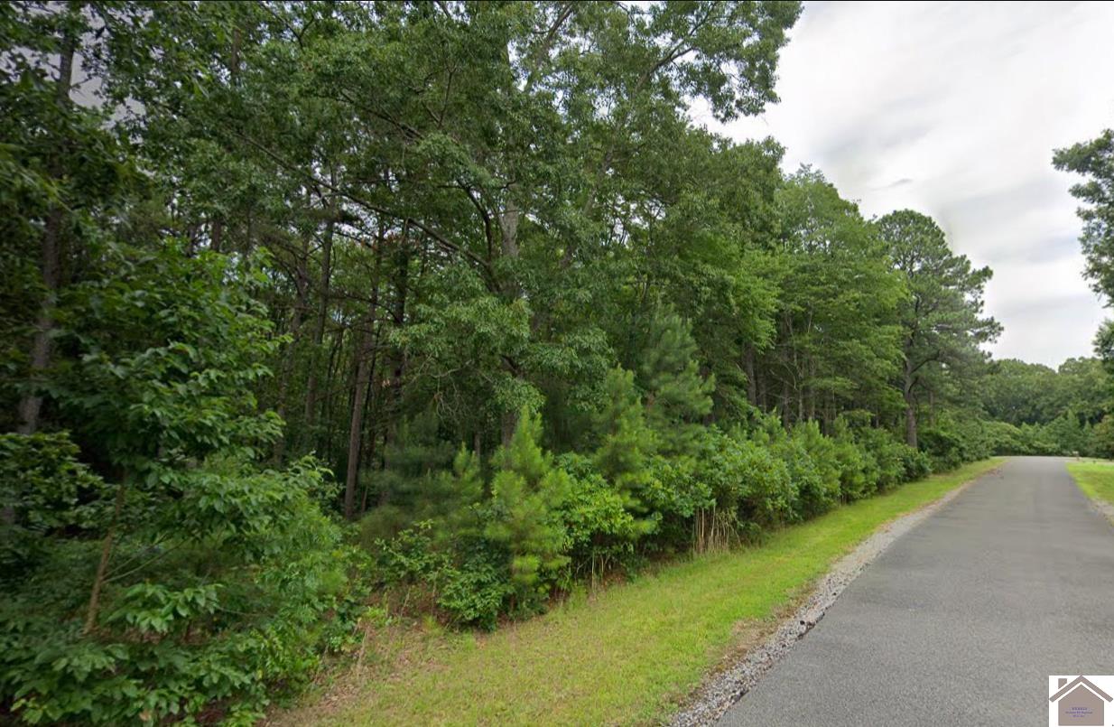 Lot 91 Streetland Ln, Murray, KY 42071 Listing Photo  4