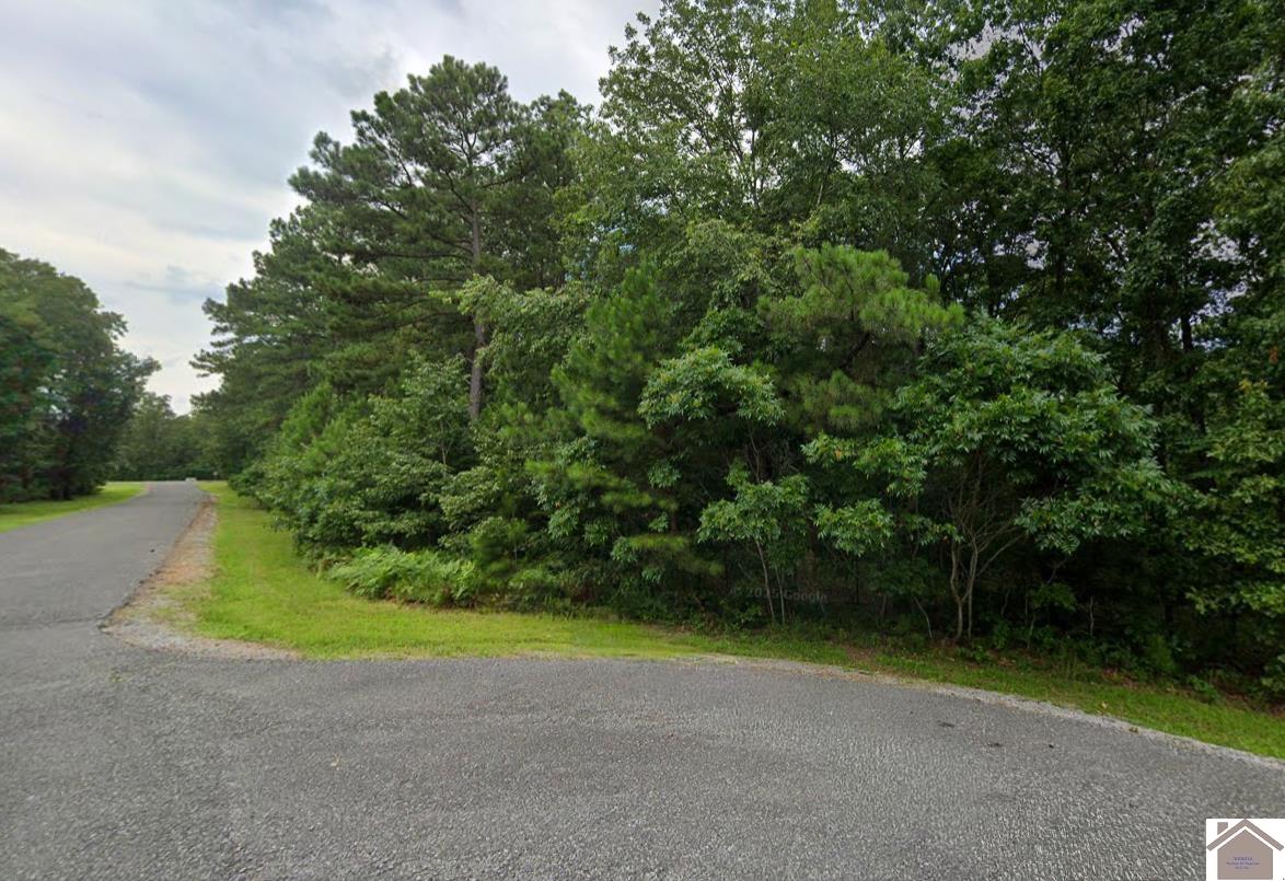 Lot 91 Streetland Ln, Murray, KY 42071 Listing Photo  6