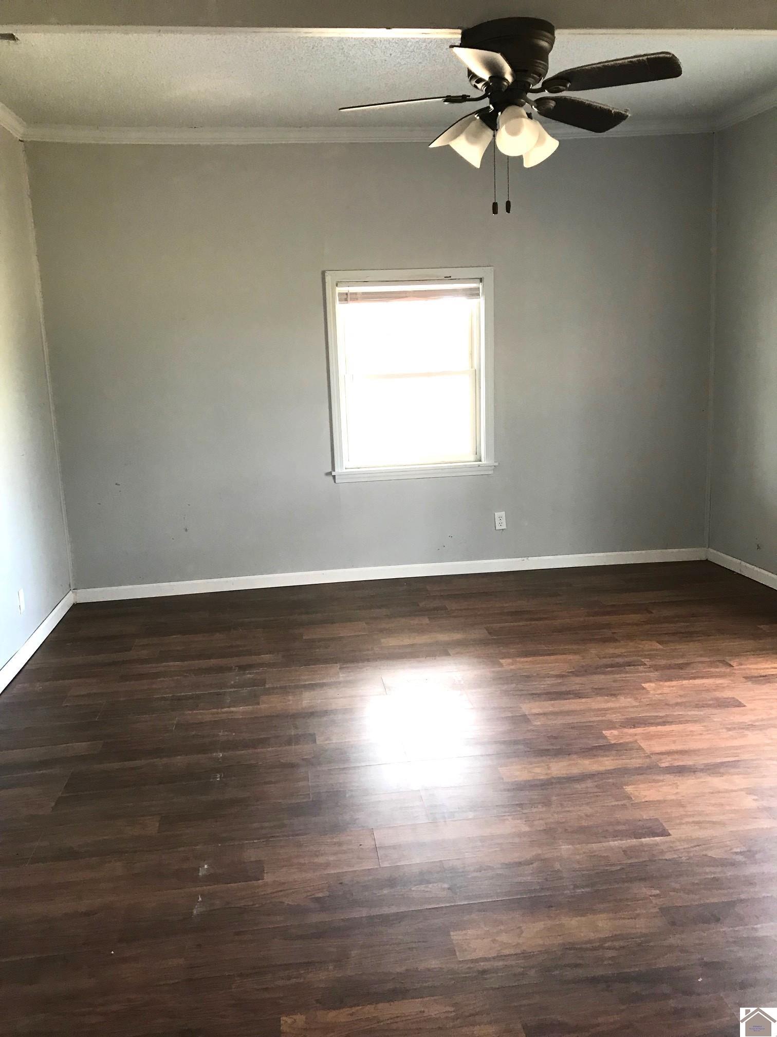50 Works Rd., Wingo, KY 42088 Listing Photo  19