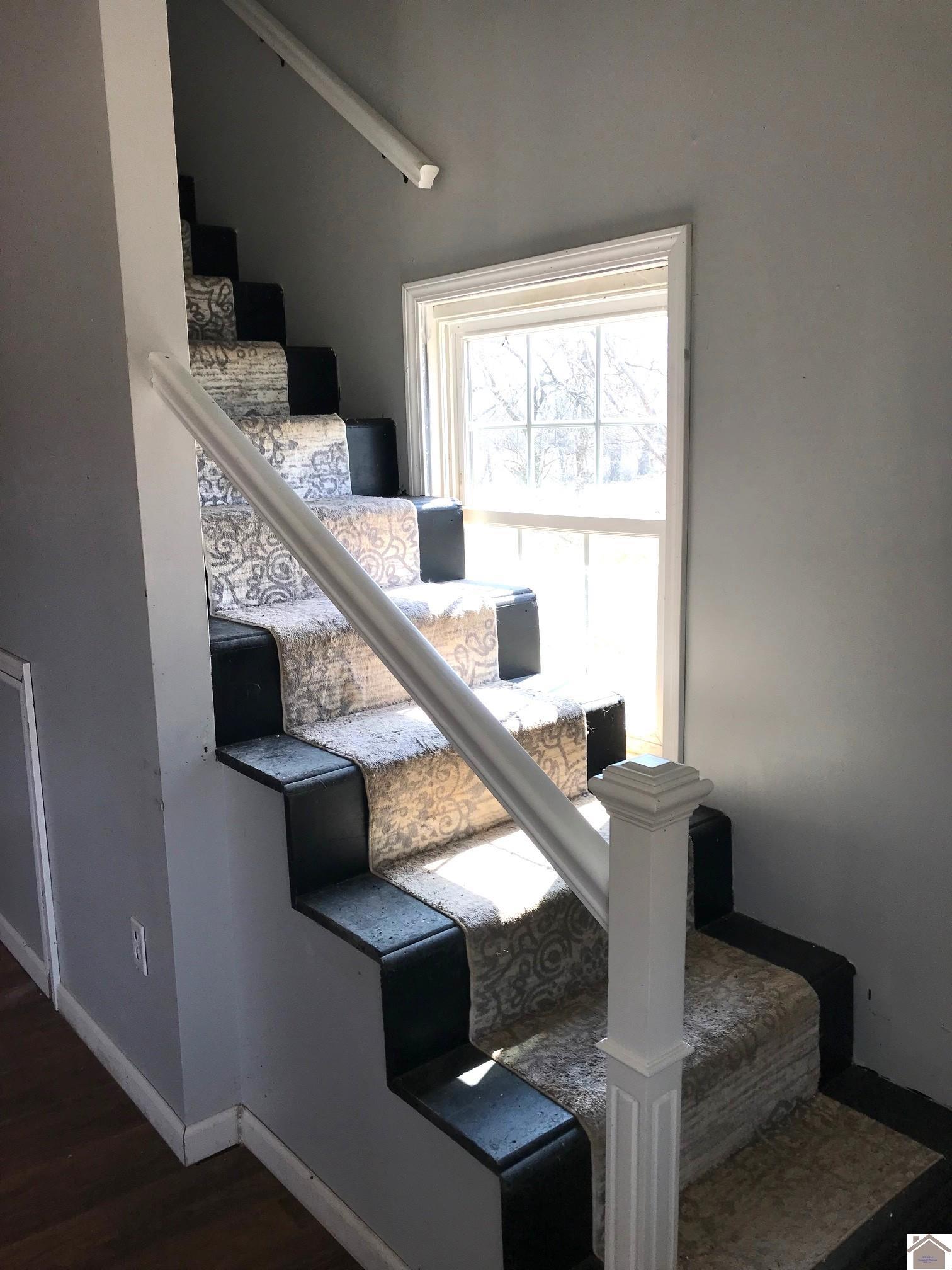 50 Works Rd., Wingo, KY 42088 Listing Photo  20