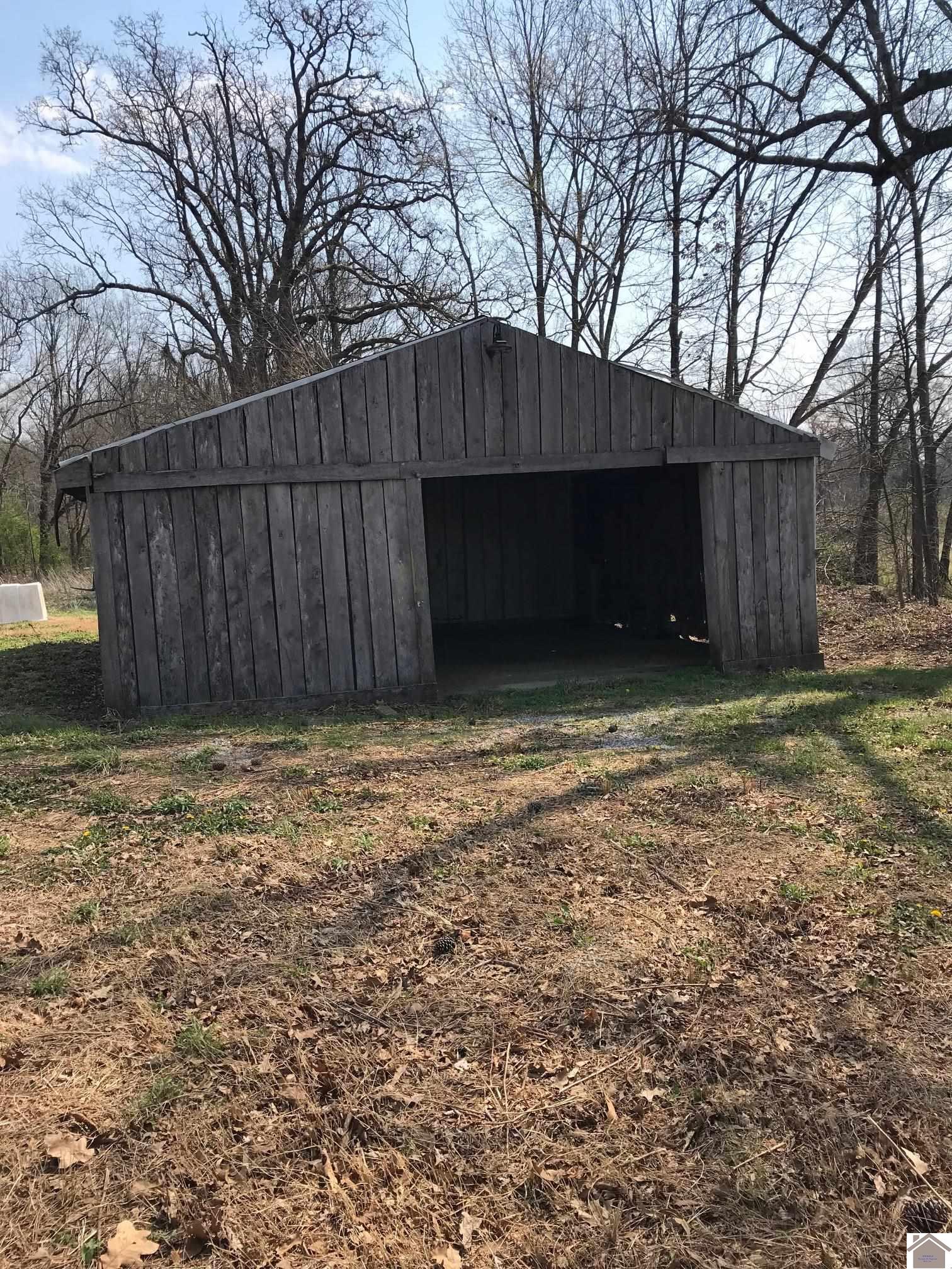 50 Works Rd., Wingo, KY 42088 Listing Photo  3
