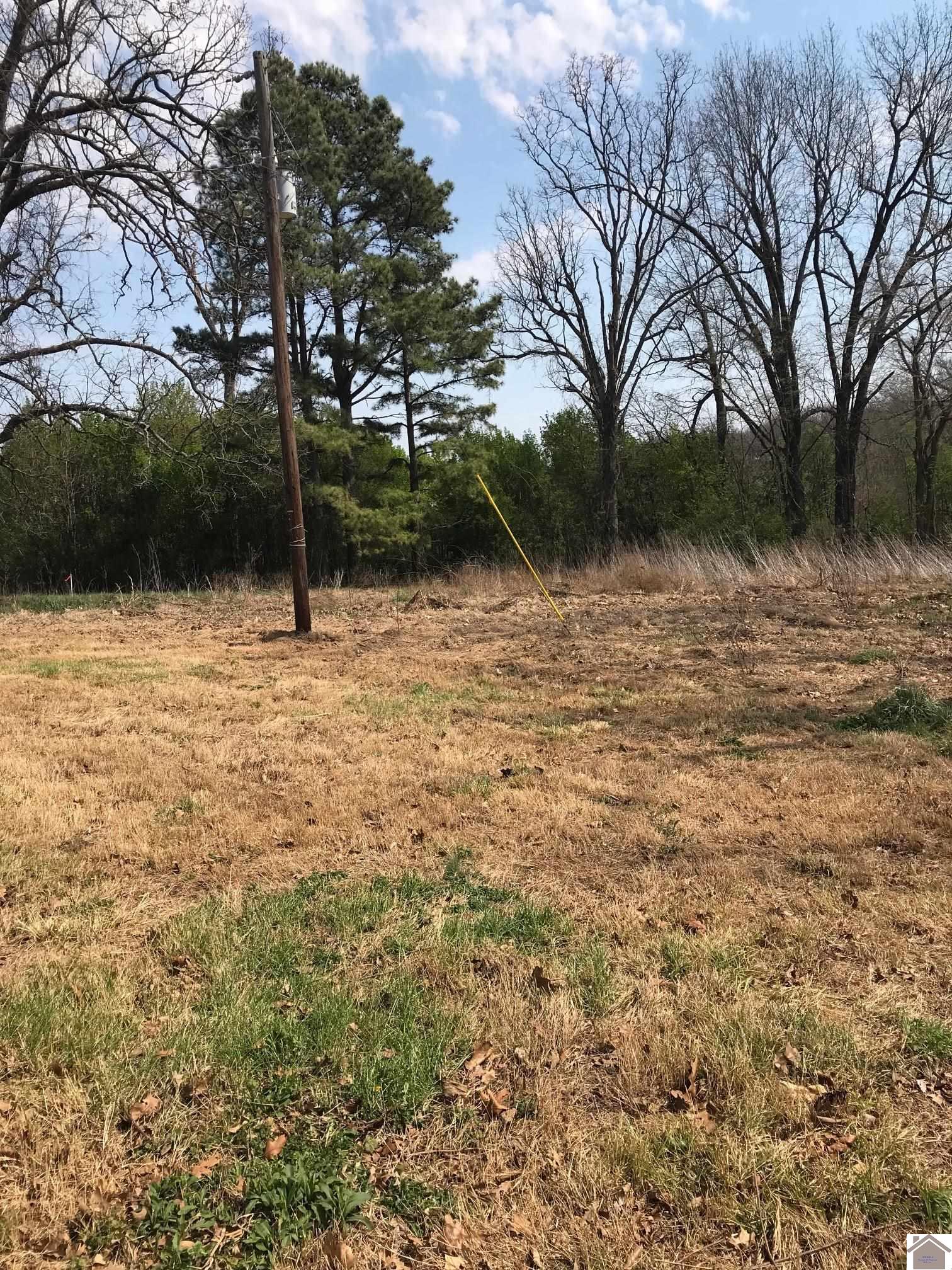 50 Works Rd., Wingo, KY 42088 Listing Photo  5