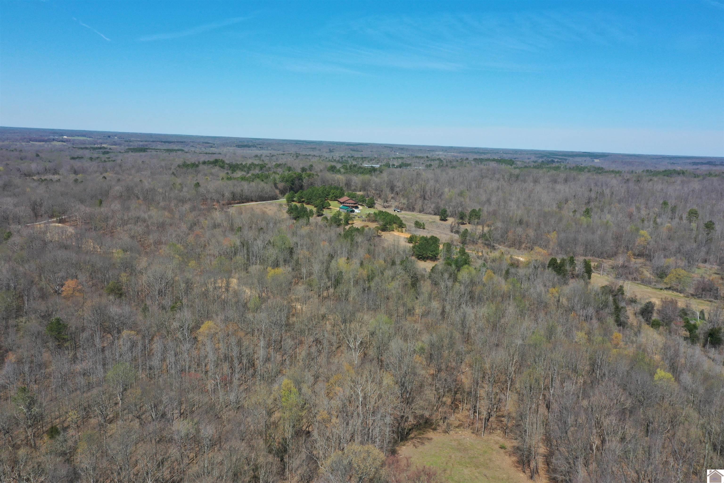 800 Workman Cemetery Rd, Dukedom, TN 38226 Listing Photo  12