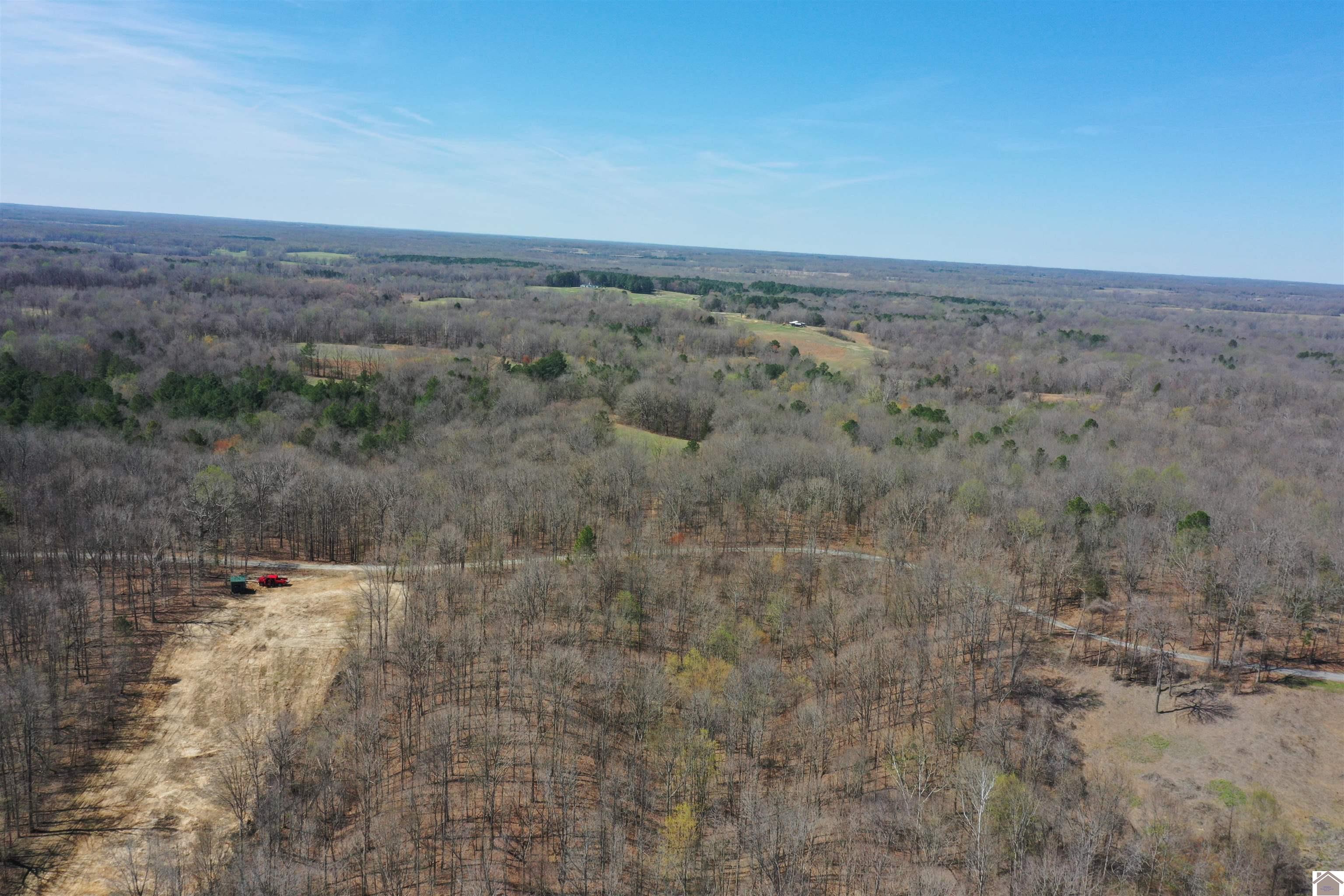 800 Workman Cemetery Rd, Dukedom, TN 38226 Listing Photo  18