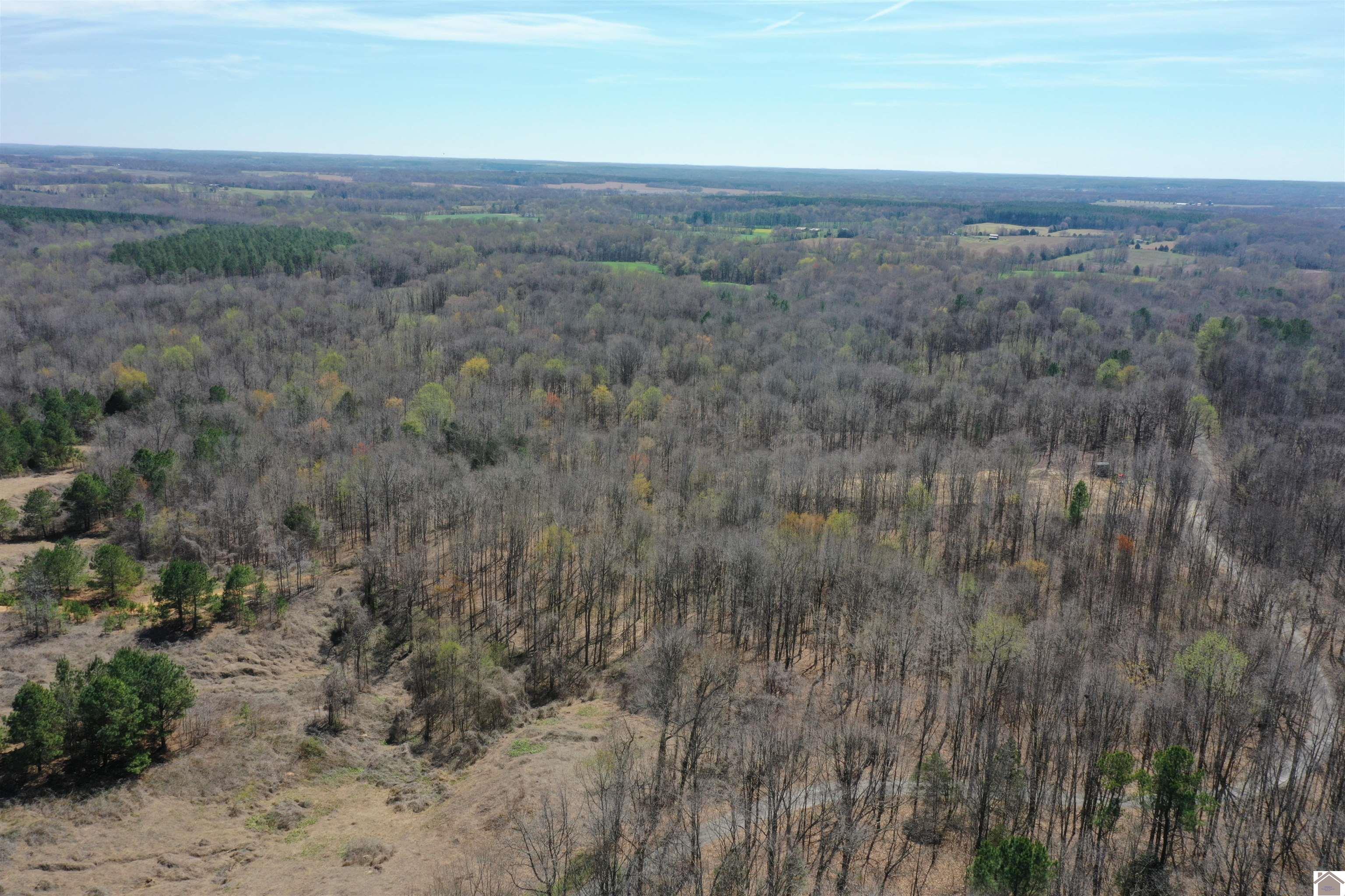 800 Workman Cemetery Rd, Dukedom, TN 38226 Listing Photo  19