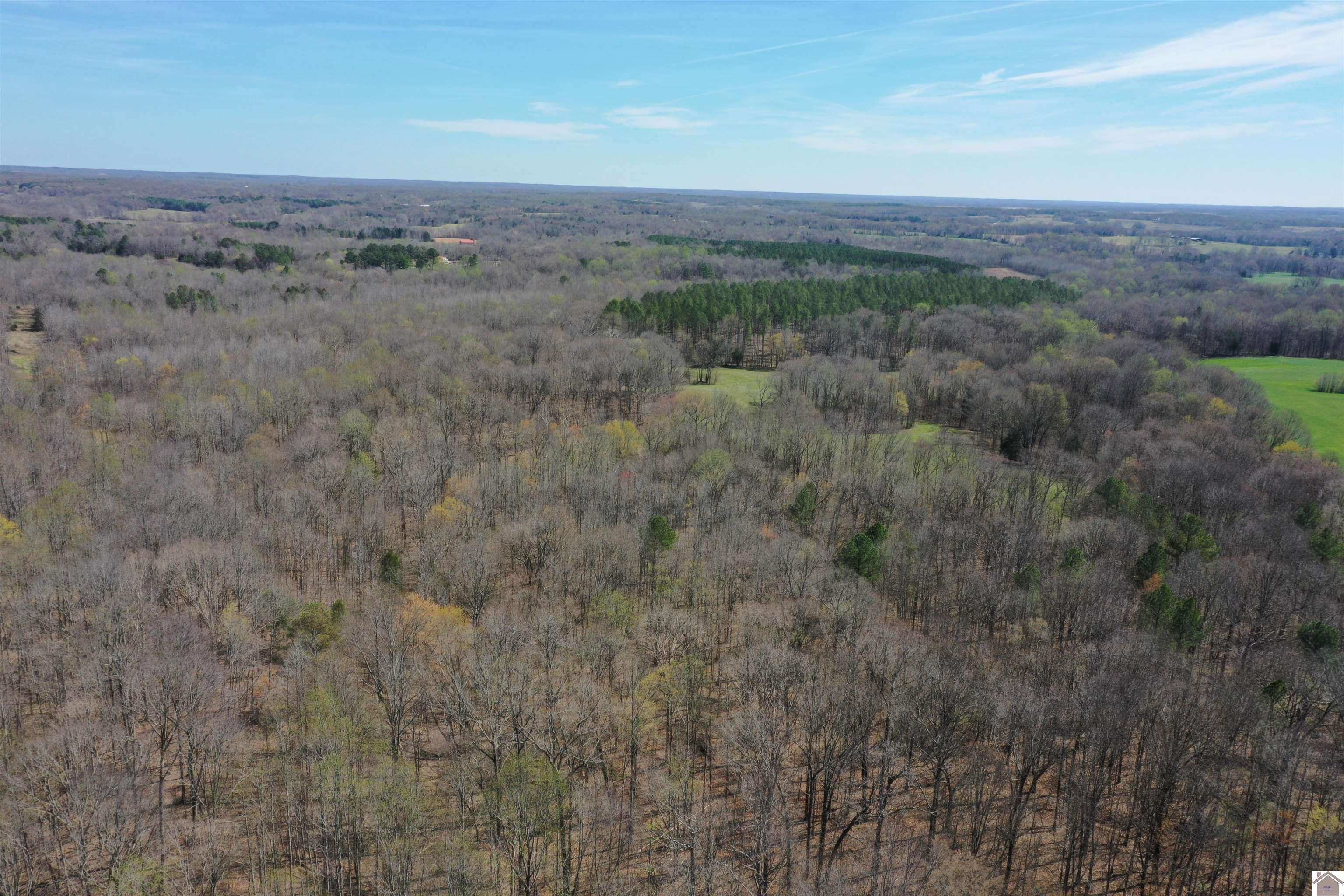 800 Workman Cemetery Rd, Dukedom, TN 38226 Listing Photo  9