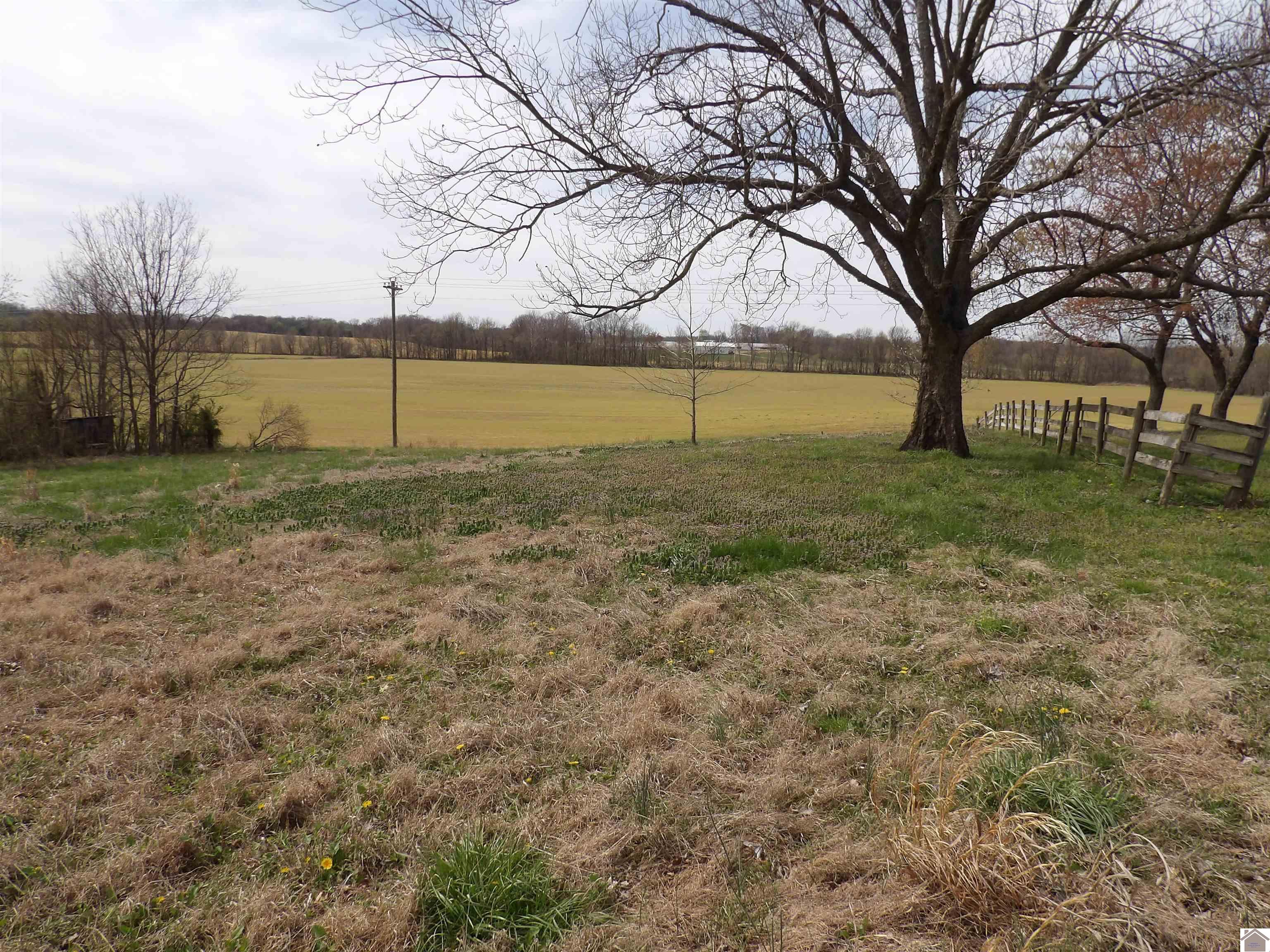 3162 Wingo Rd, Wingo, KY 42088 Listing Photo  19