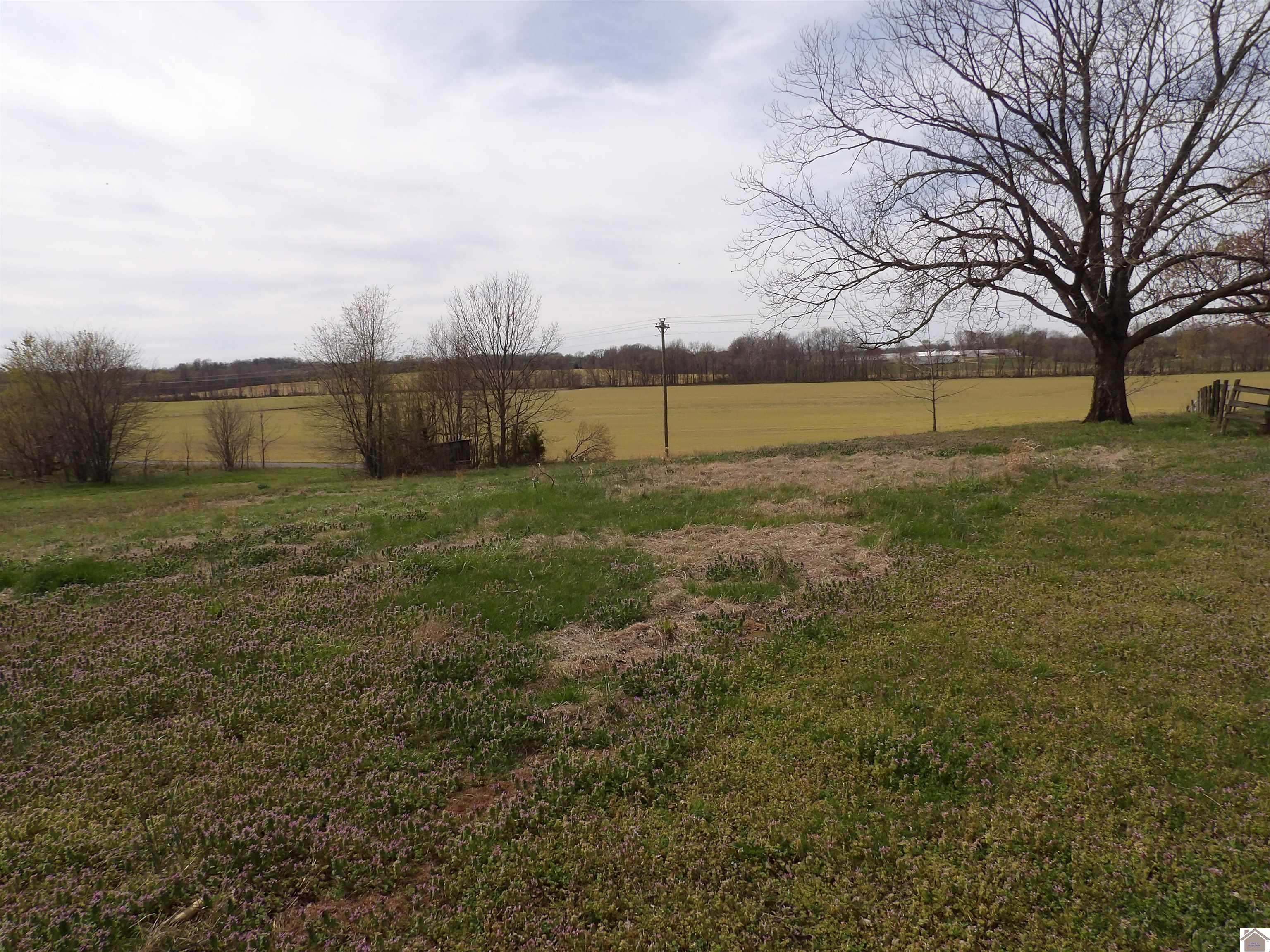 3162 Wingo Rd, Wingo, KY 42088 Listing Photo  20
