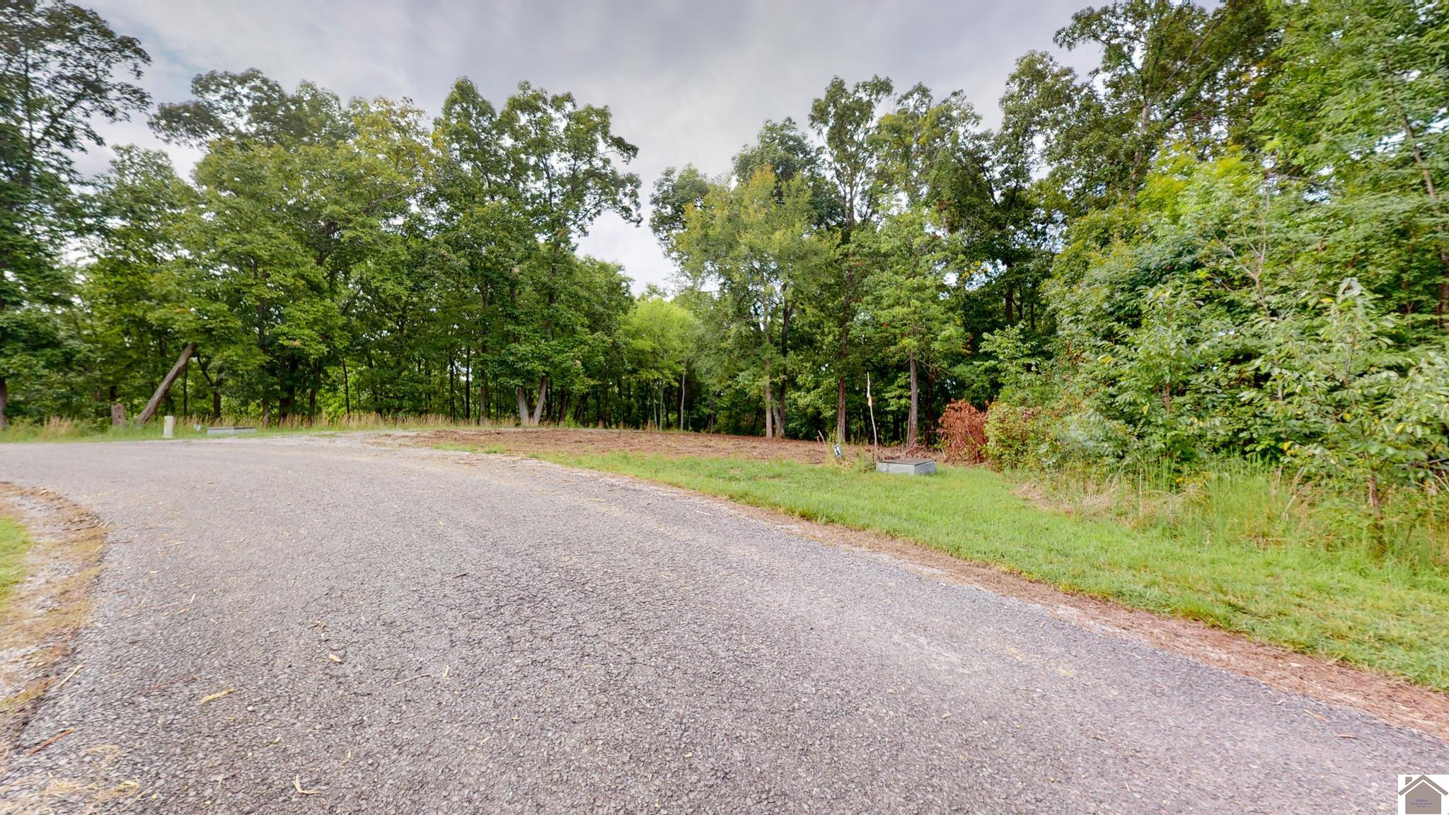 !2 Tow Lane, Murray, KY 42071 Listing Photo  1