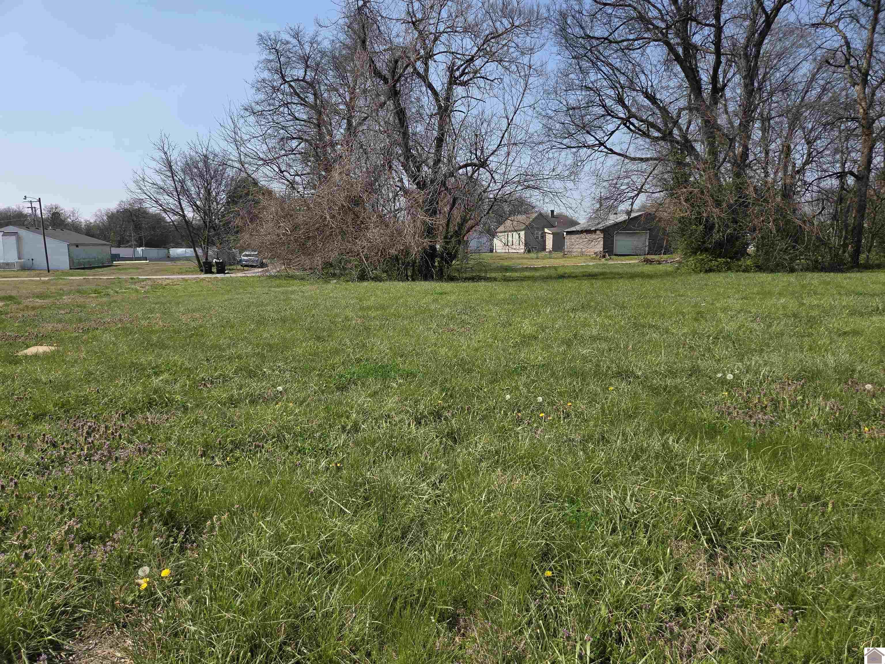 1133 S 3rd Street, Paducah, KY 42003 Listing Photo  1