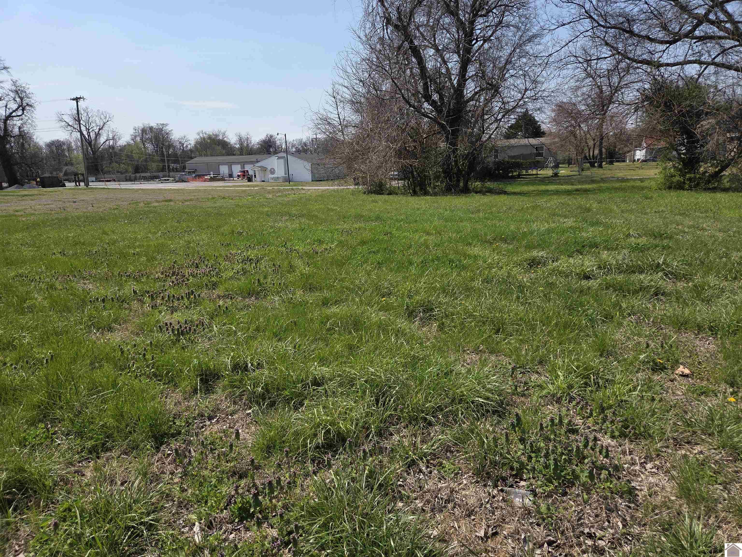 1133 S 3rd Street, Paducah, KY 42003 Listing Photo  3