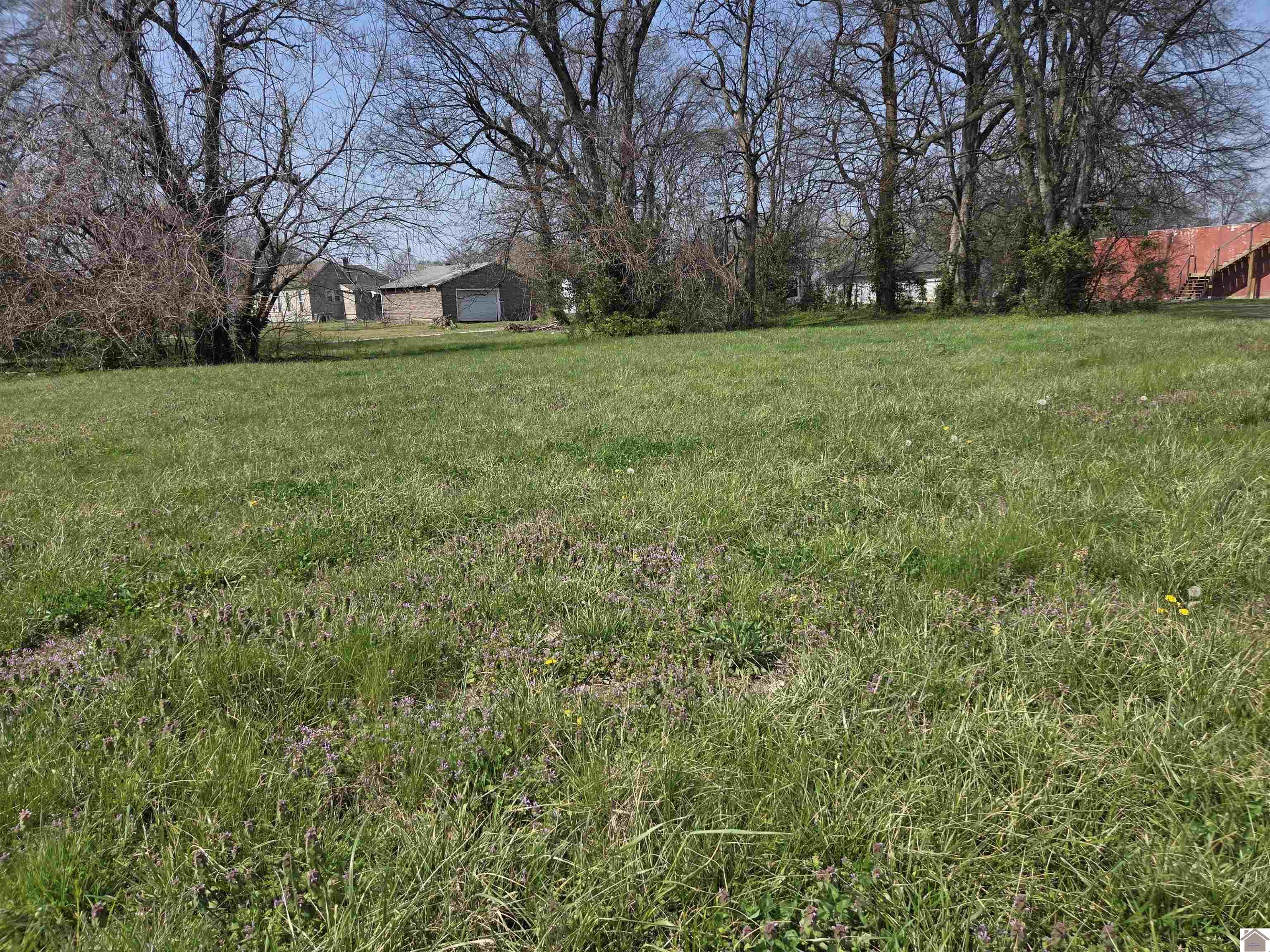 1133 S 3rd Street, Paducah, KY 42003 Listing Photo  4