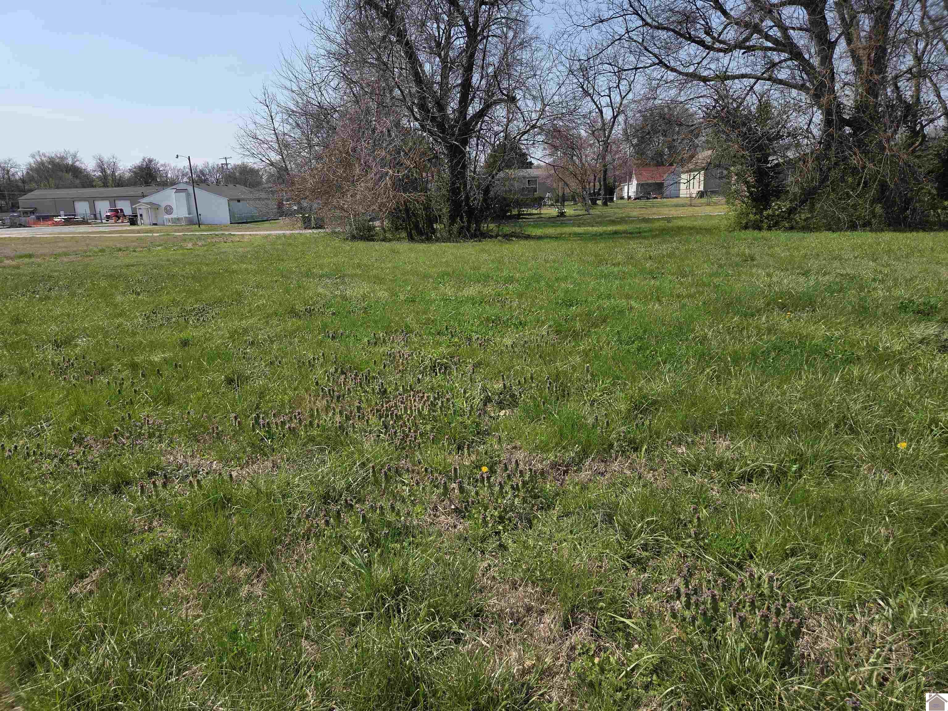 1133 S 3rd Street, Paducah, KY 42003 Listing Photo  5