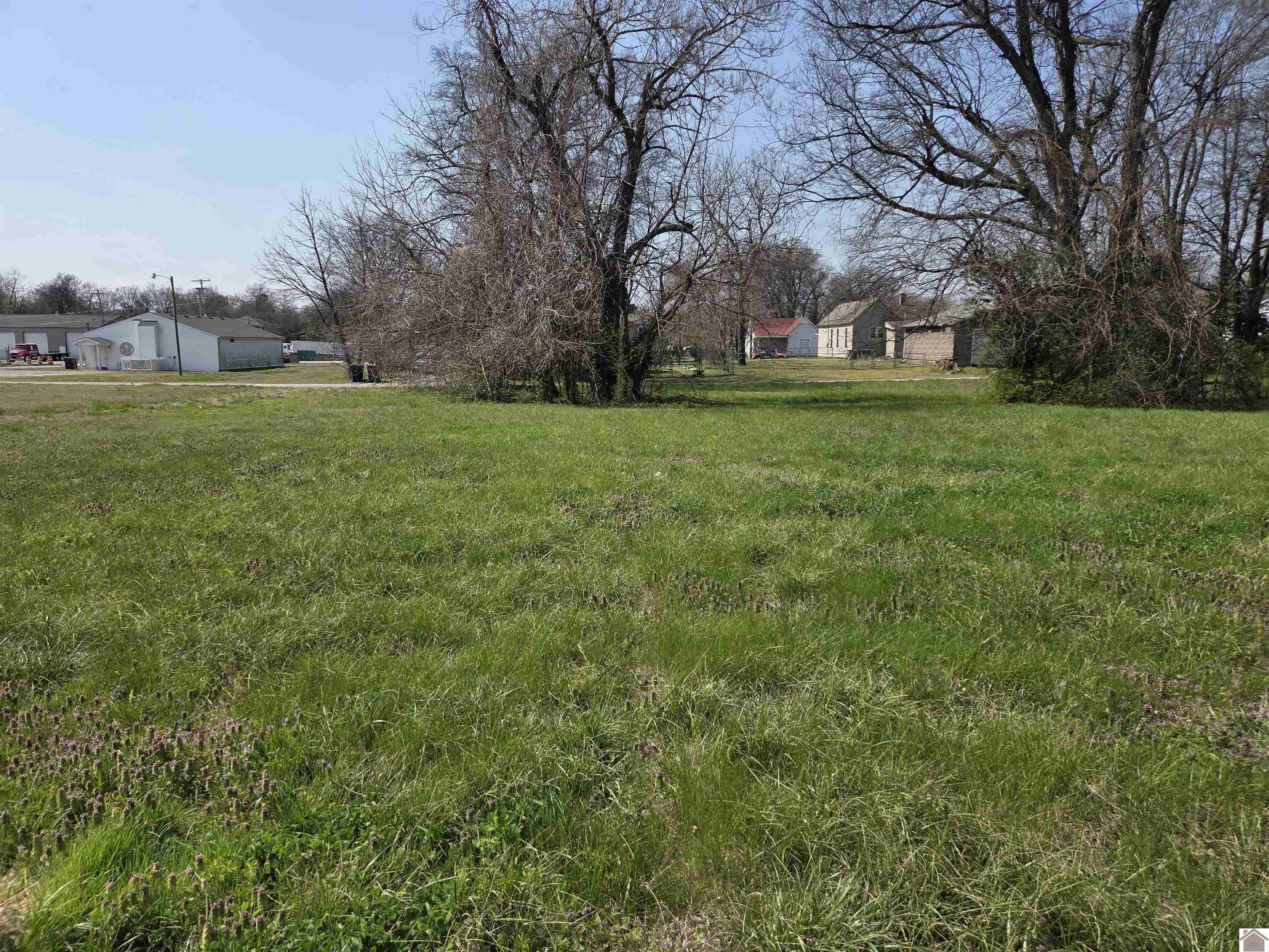 1133 S 3rd Street, Paducah, KY 42003 Listing Photo  6