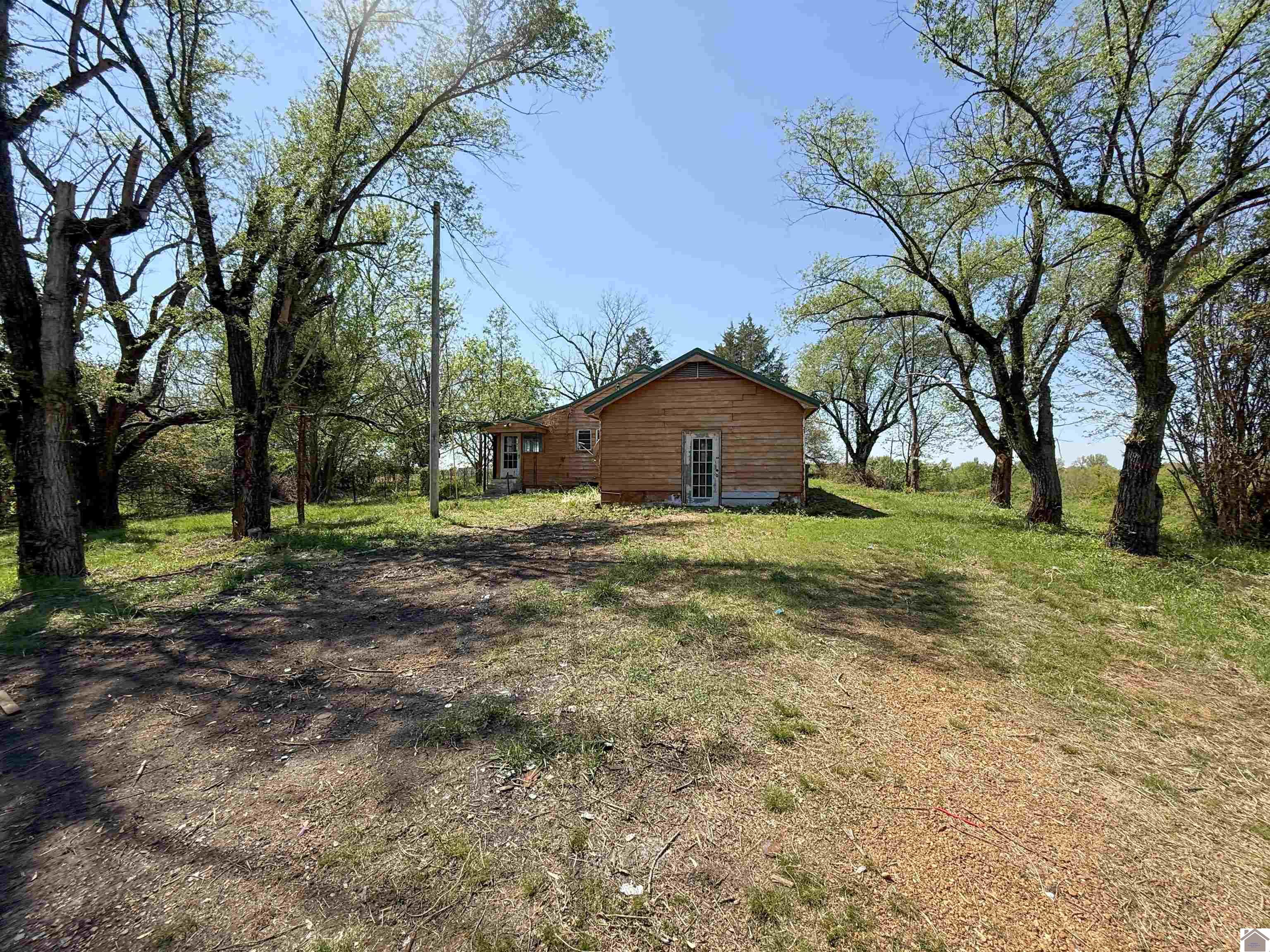 3599 W State Route 339, Wingo, KY 42088 Listing Photo  13