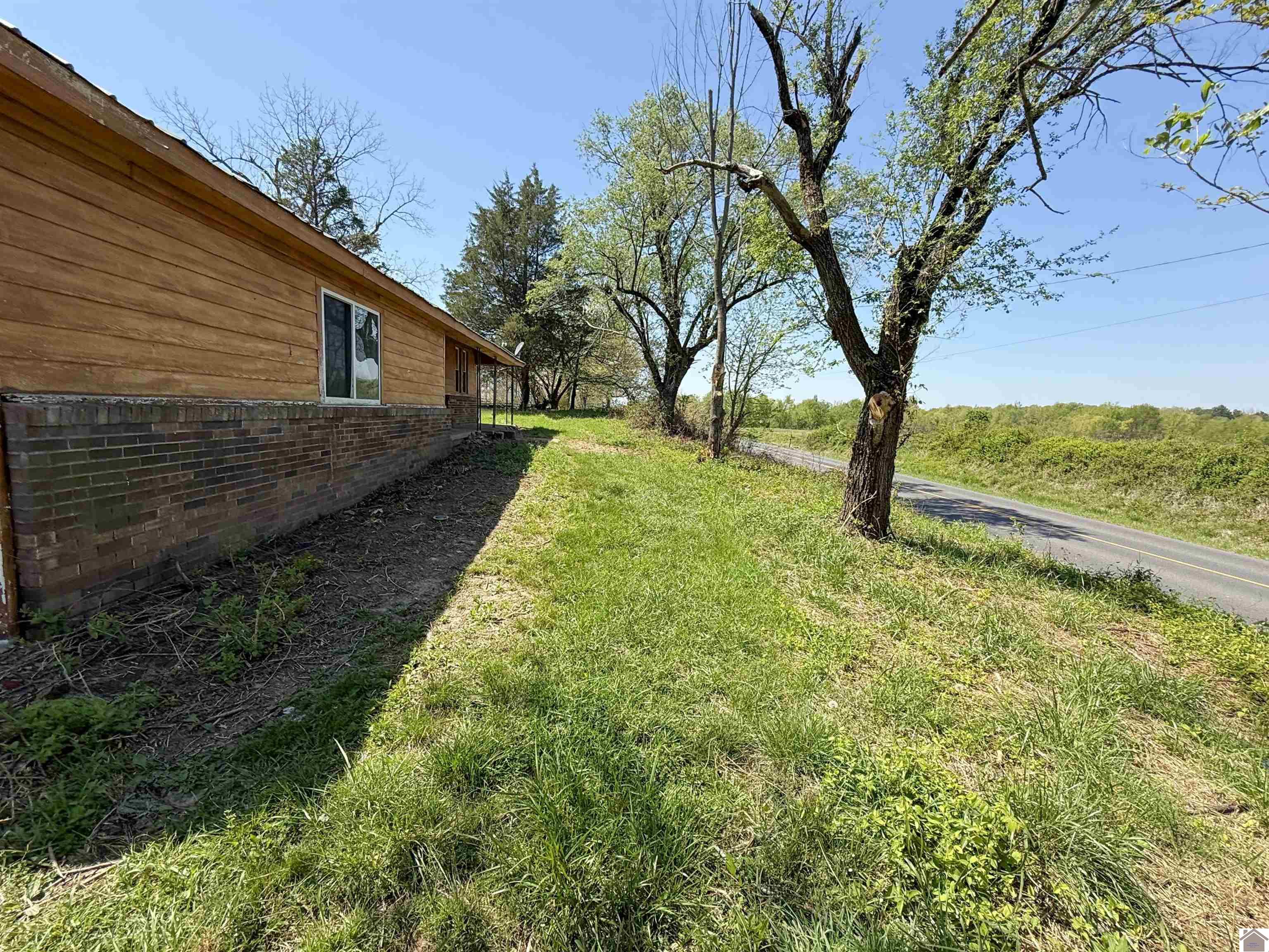 3599 W State Route 339, Wingo, KY 42088 Listing Photo  14